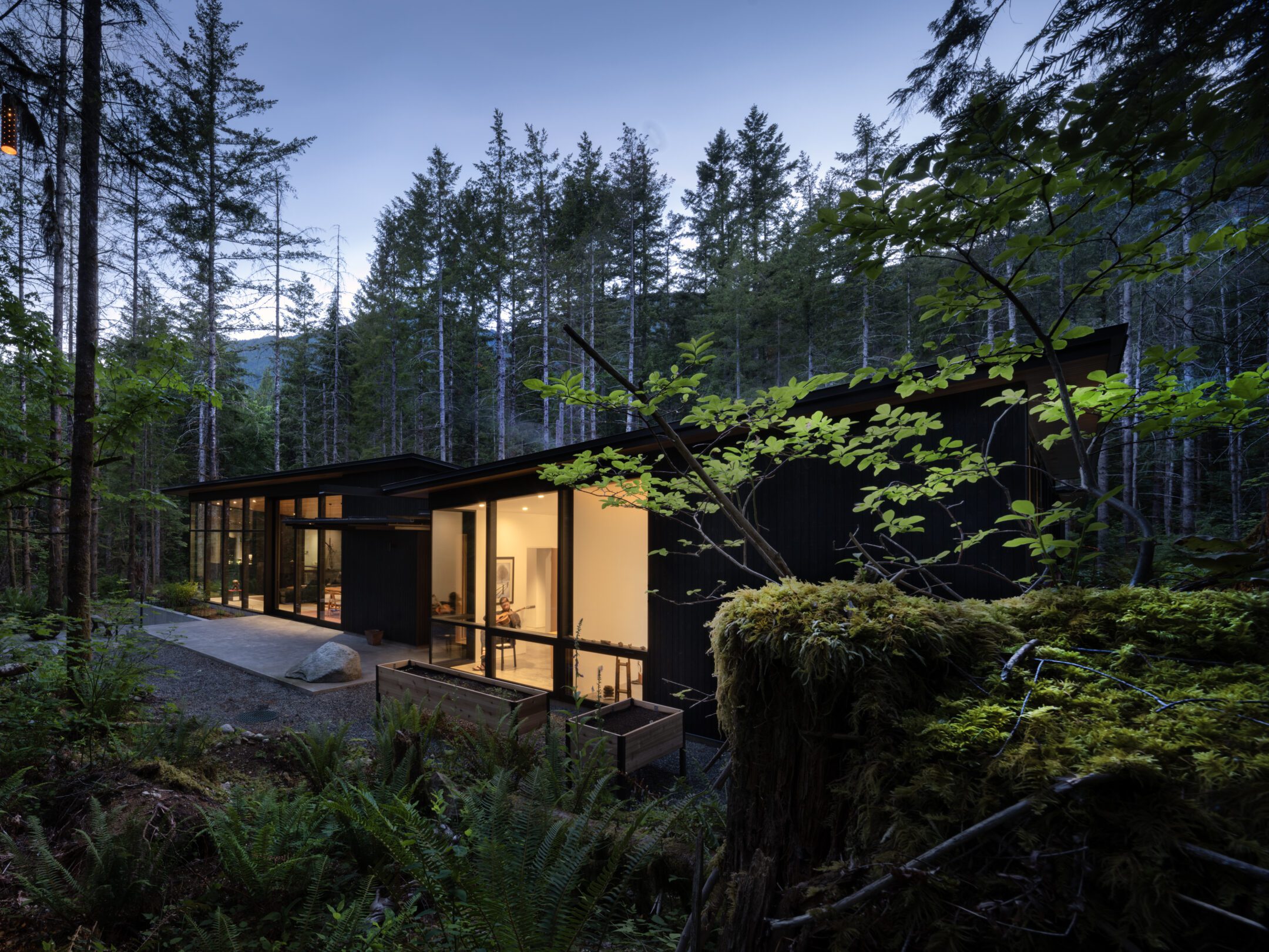 Forest Pavilion Home — Signal Architecture