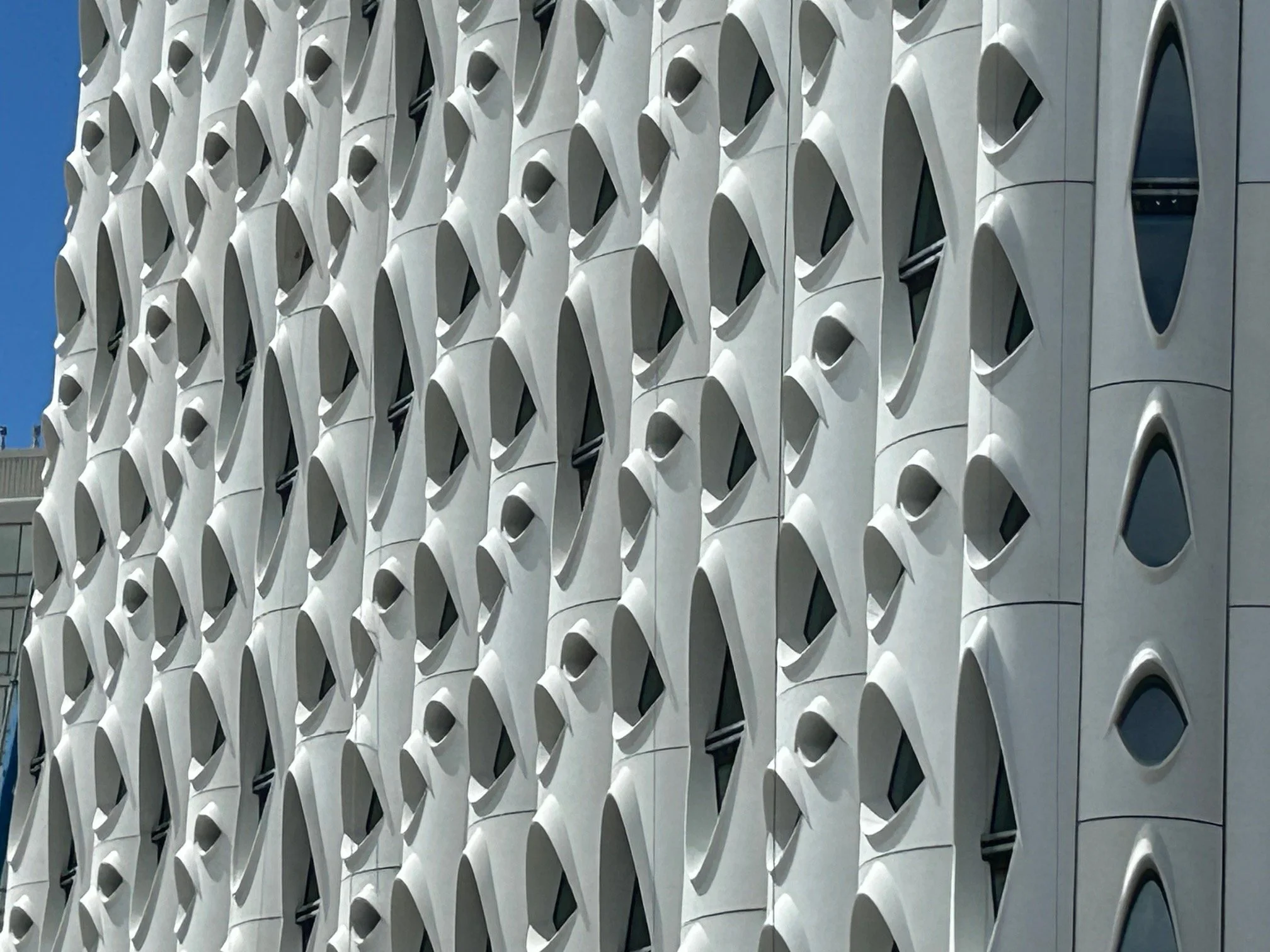 Populus — Studio NYL
