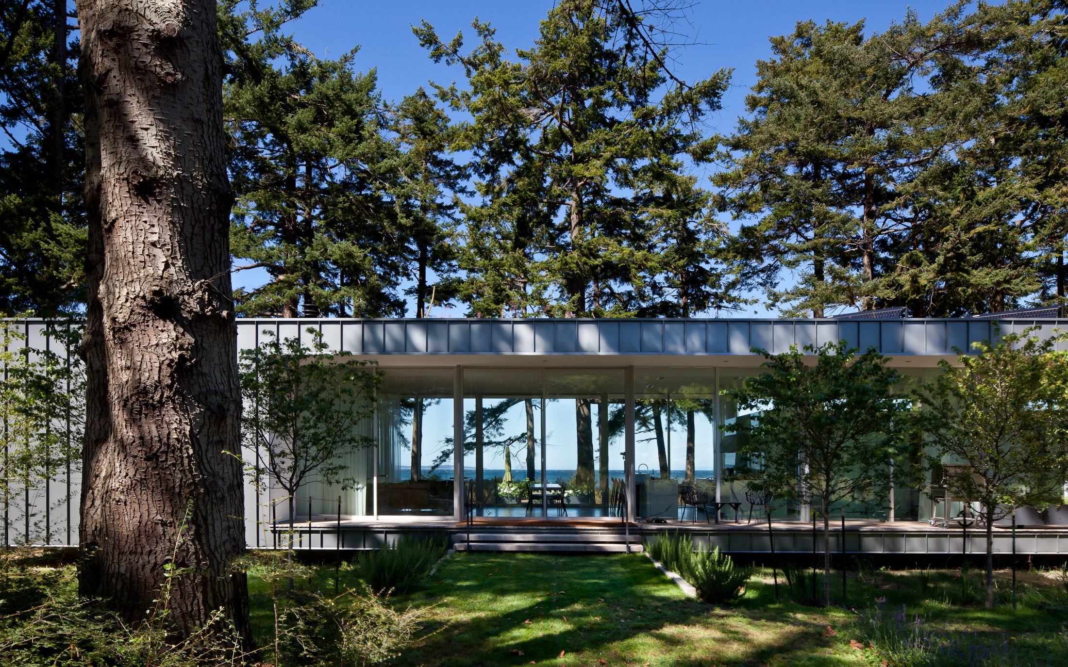 Heliotrope — North Beach — Heliotrope Architects