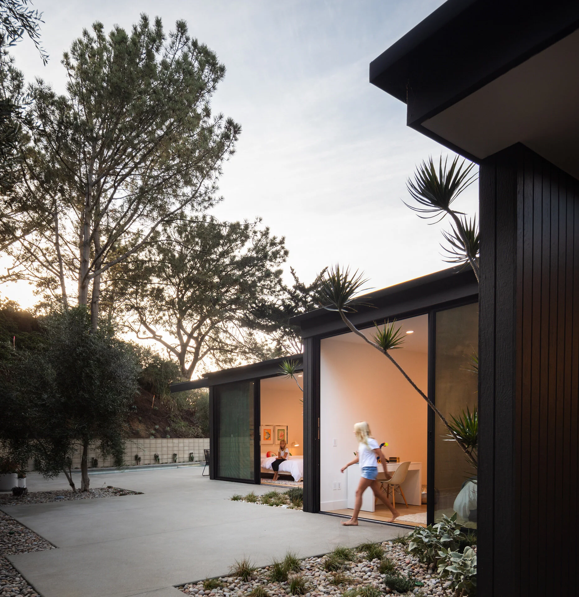 PINE NEEDLES — Nakhshab Development Design