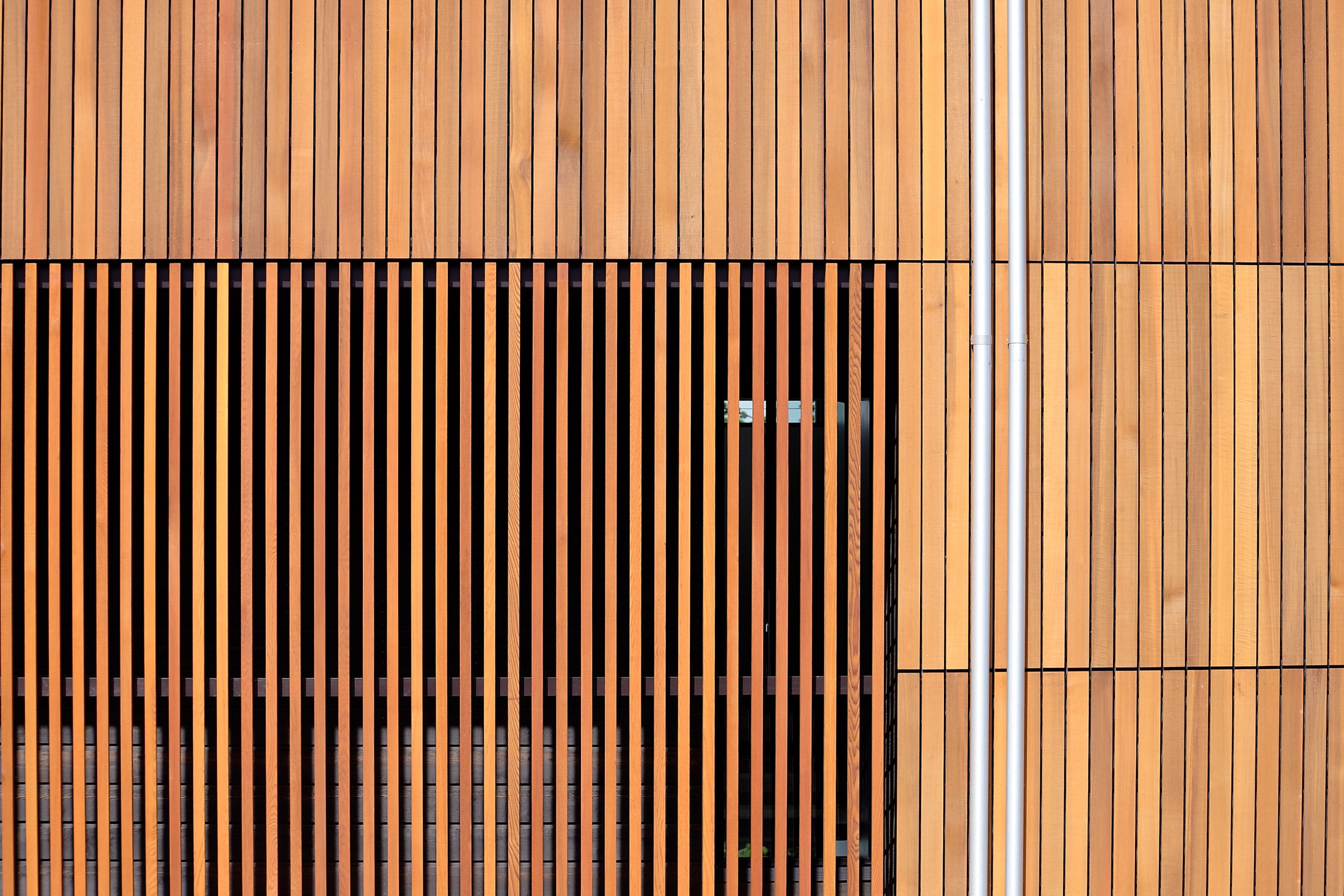 Heliotrope — Magnolia — Heliotrope Architects