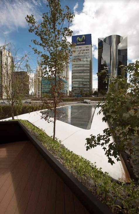 Chedraui Flagship — Studio NYL