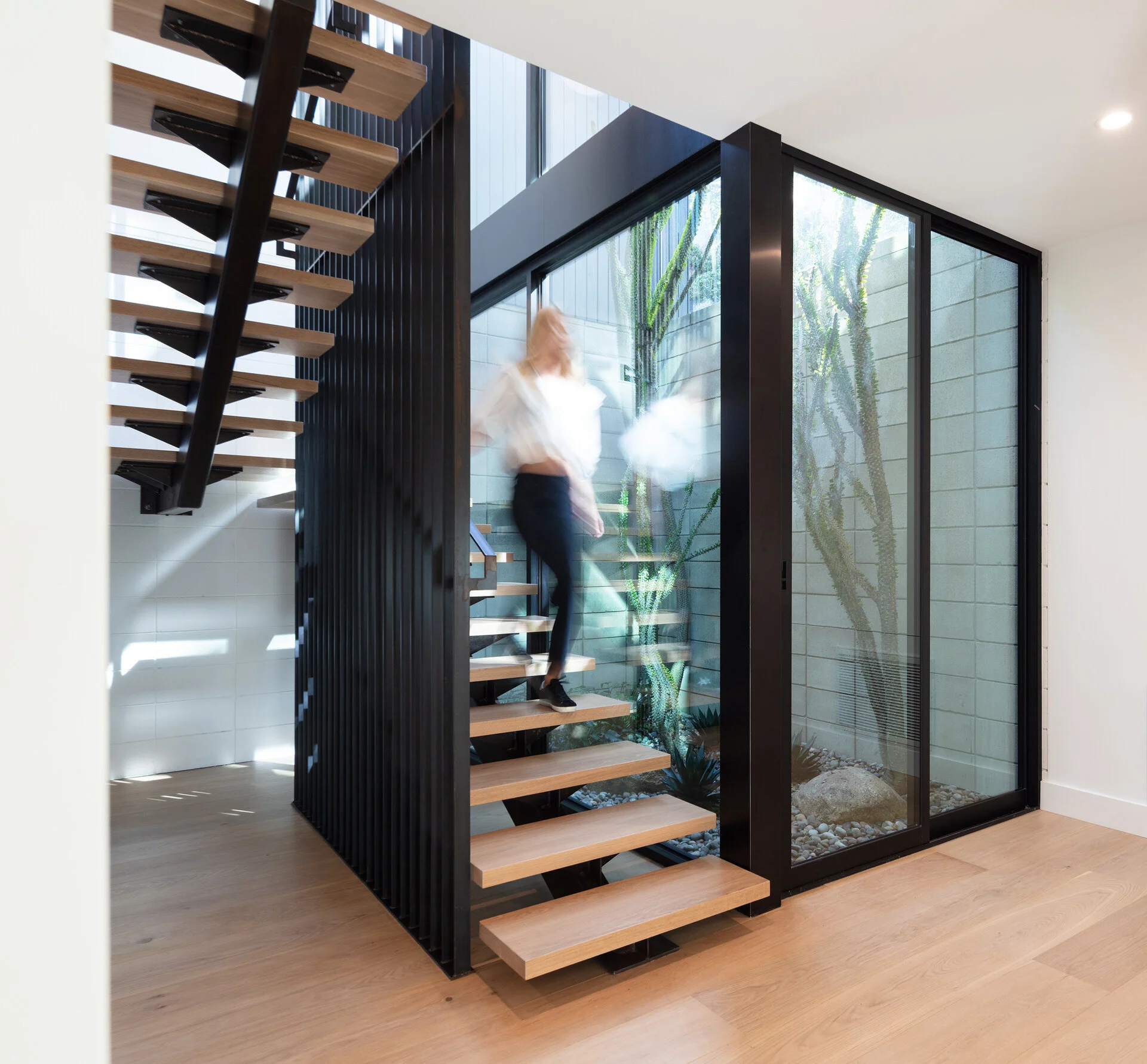 PINE NEEDLES — Nakhshab Development Design