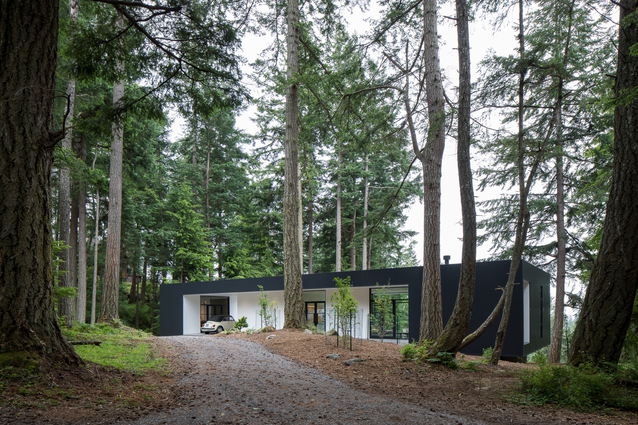 Heliotrope — Collector’s Retreat — Heliotrope Architects