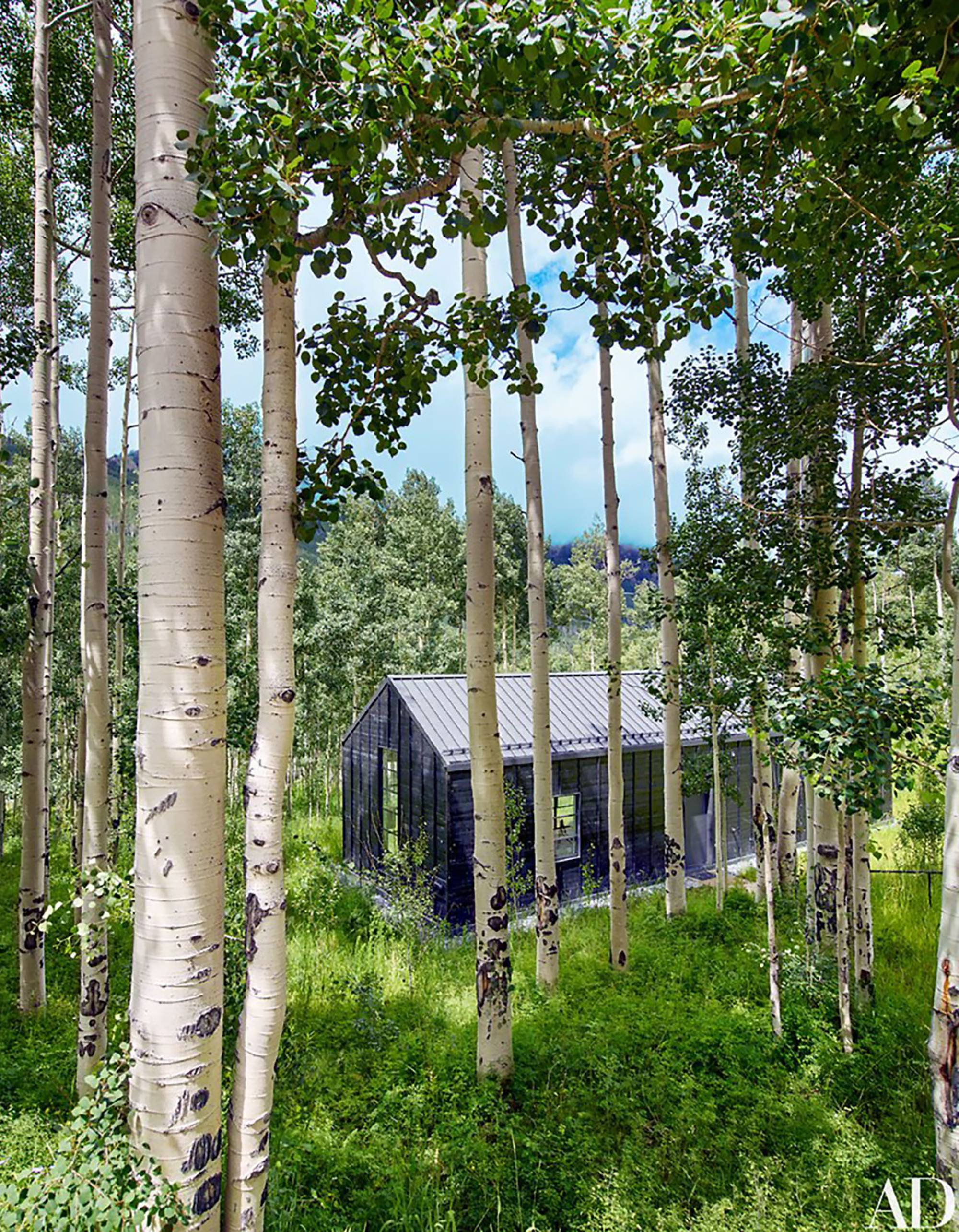 Cottage Black — Studio B 