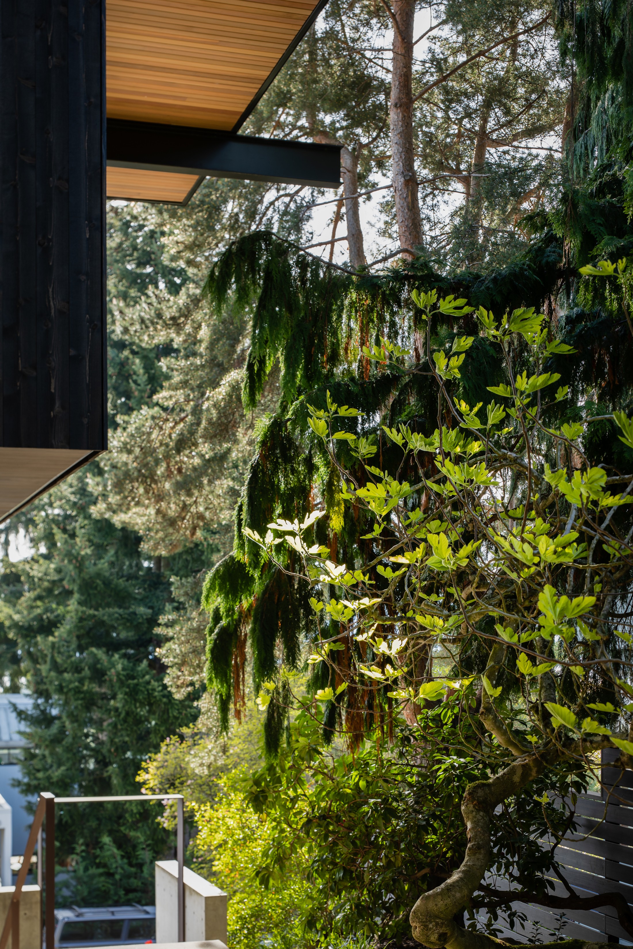 Heliotrope — View Ridge — Heliotrope Architects