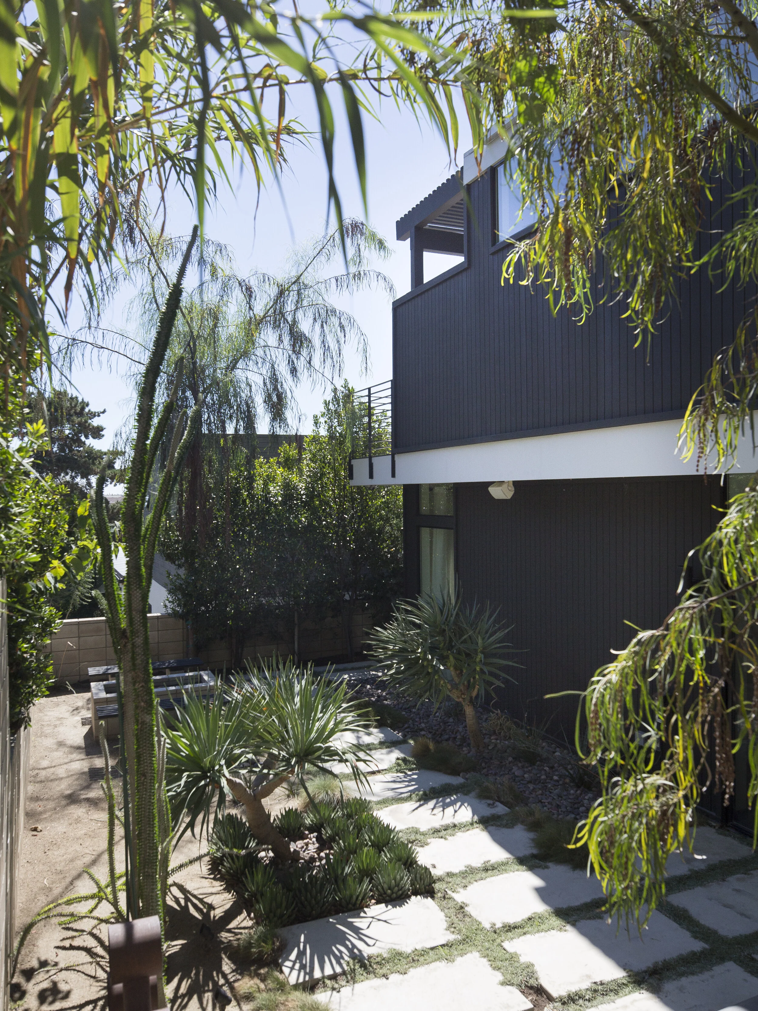 Shayan — Nakhshab Development Design