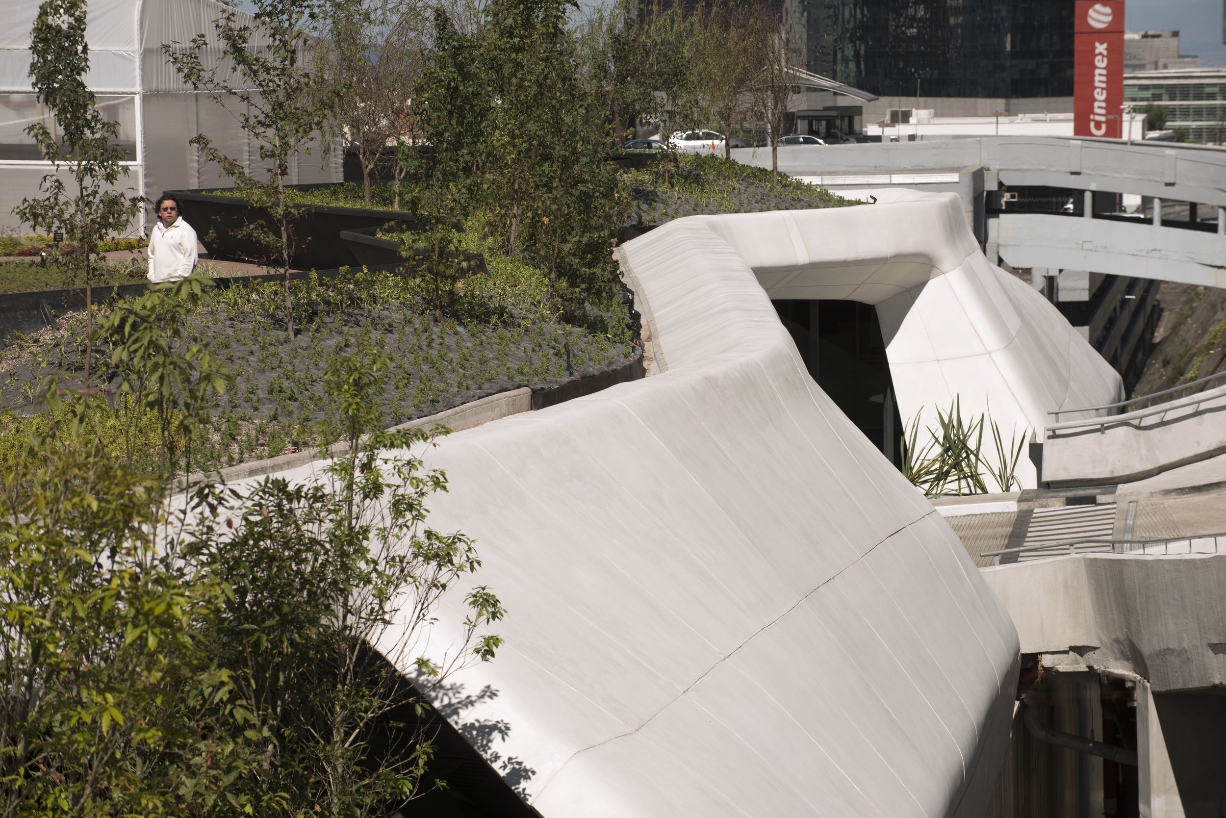 Chedraui Flagship — Studio NYL