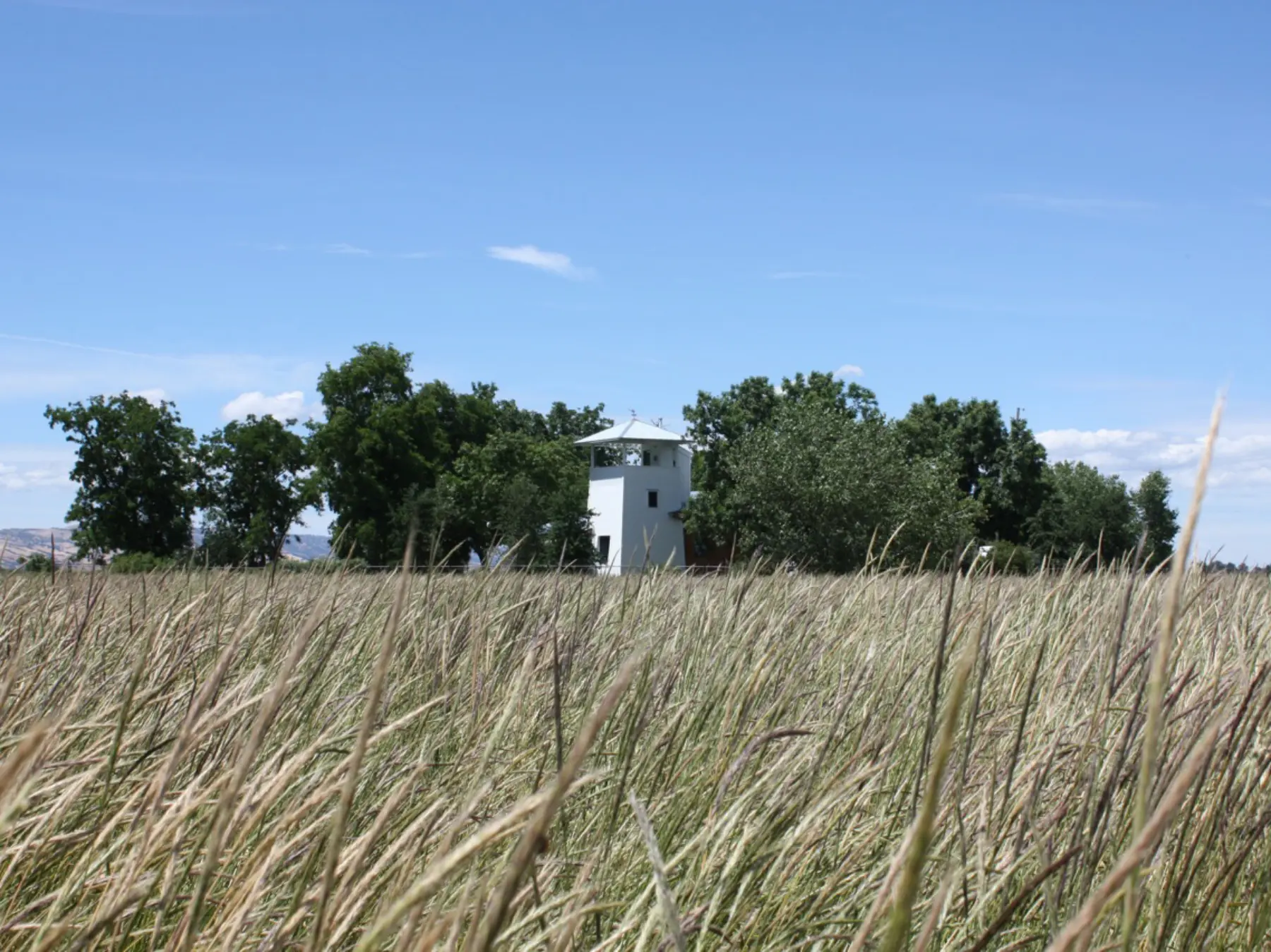 Yolo County Cabin — Butler Armsden Architects