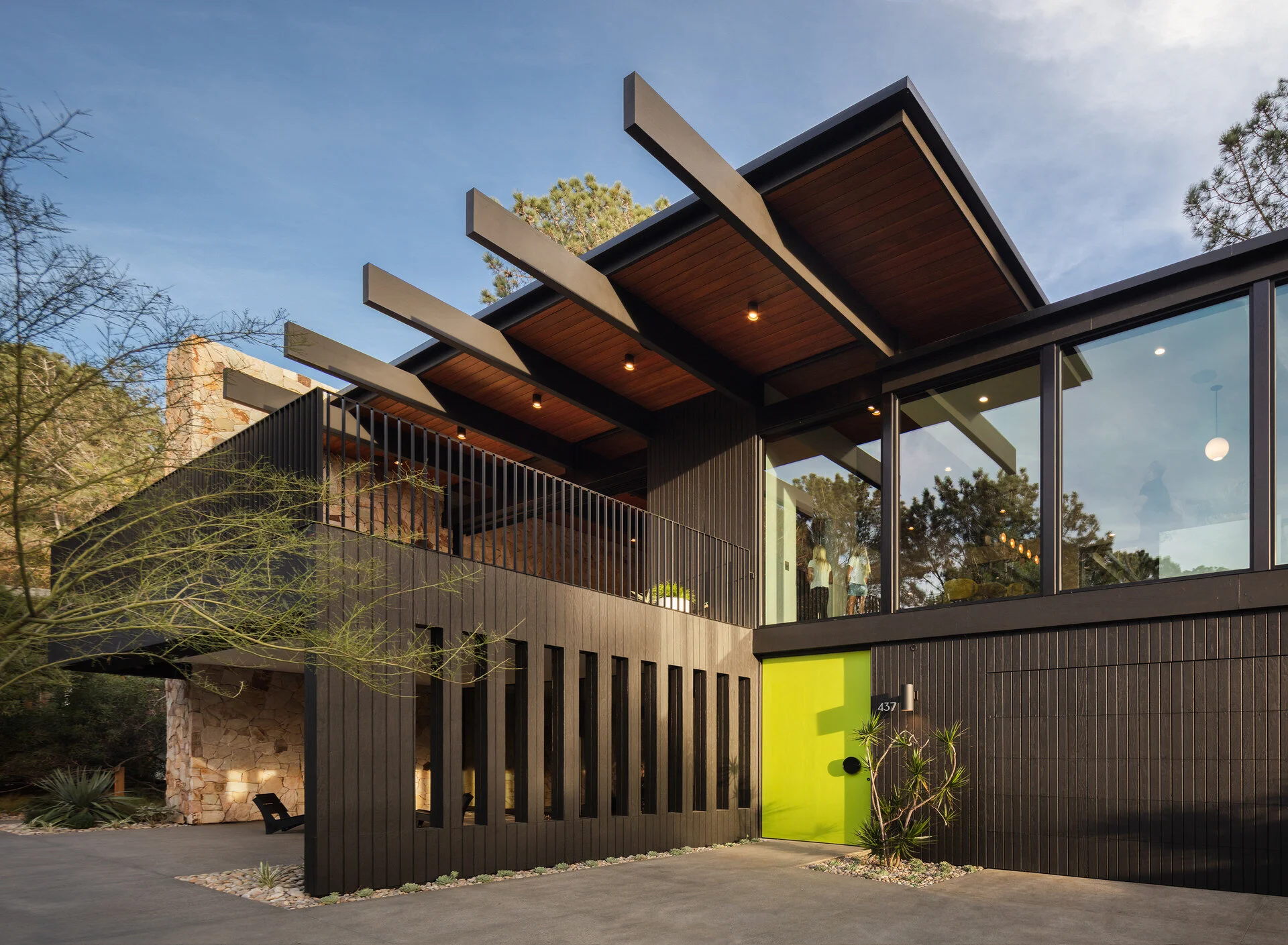 PINE NEEDLES — Nakhshab Development Design