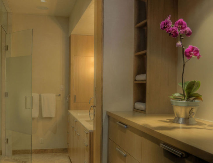 Olympic Penthouse — E Cummings Architect