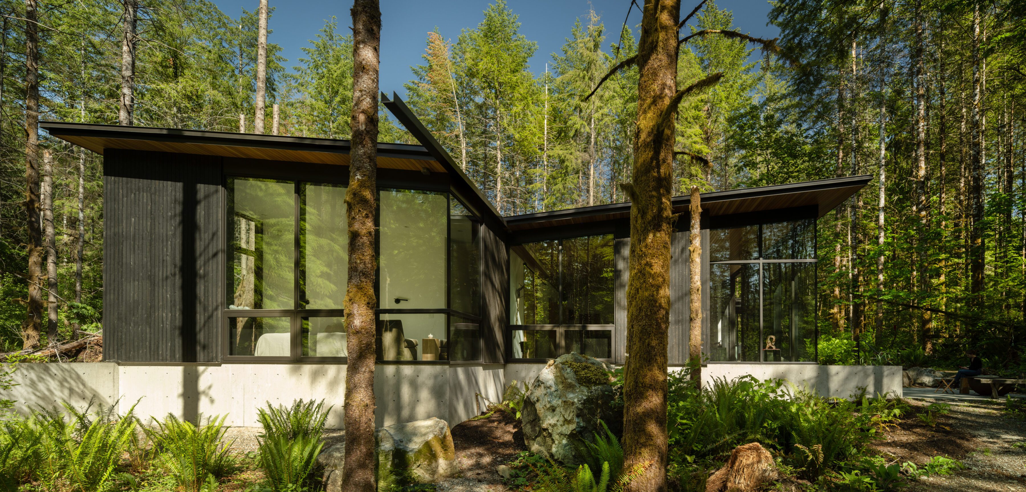 Forest Pavilion Home — Signal Architecture