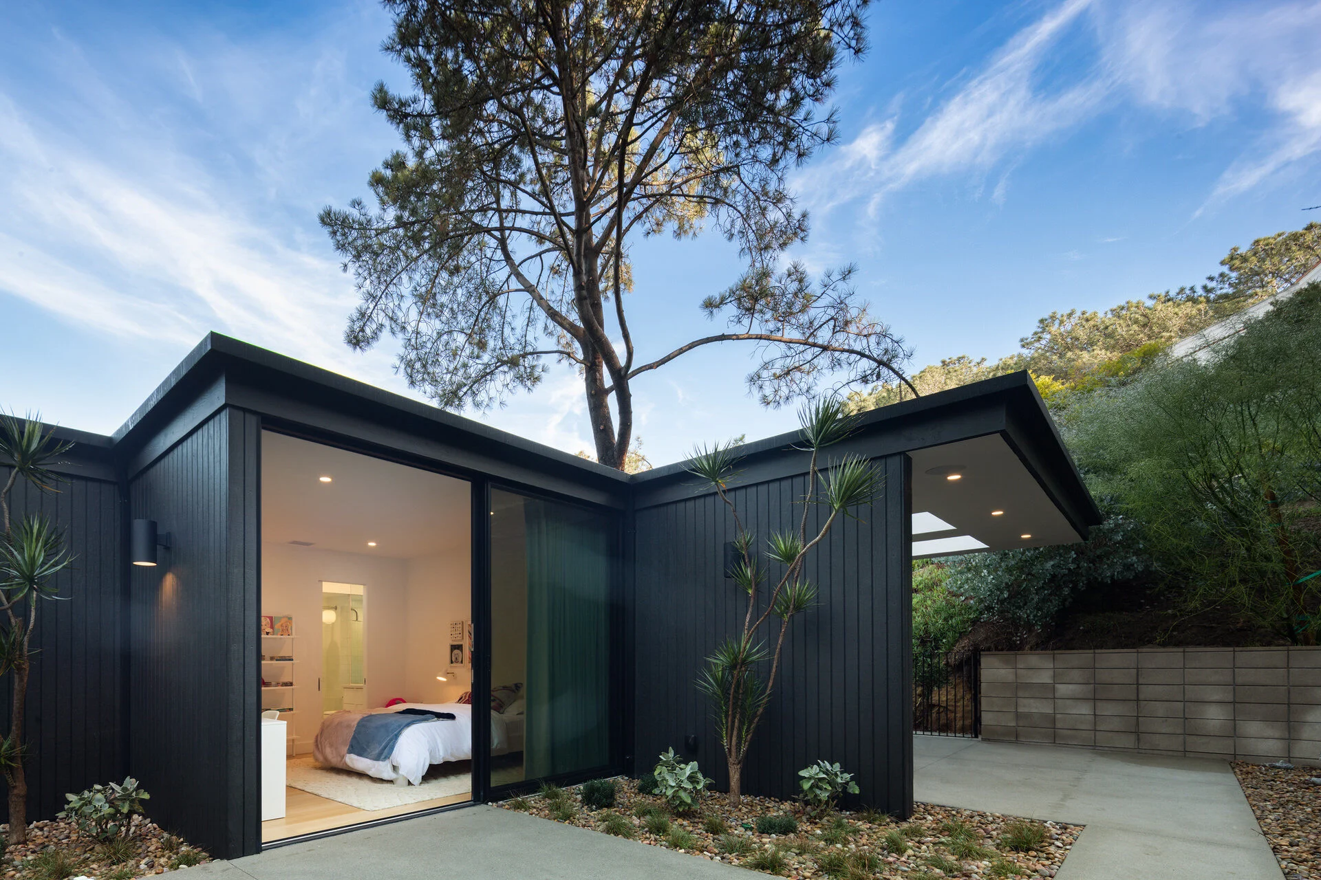 PINE NEEDLES — Nakhshab Development Design