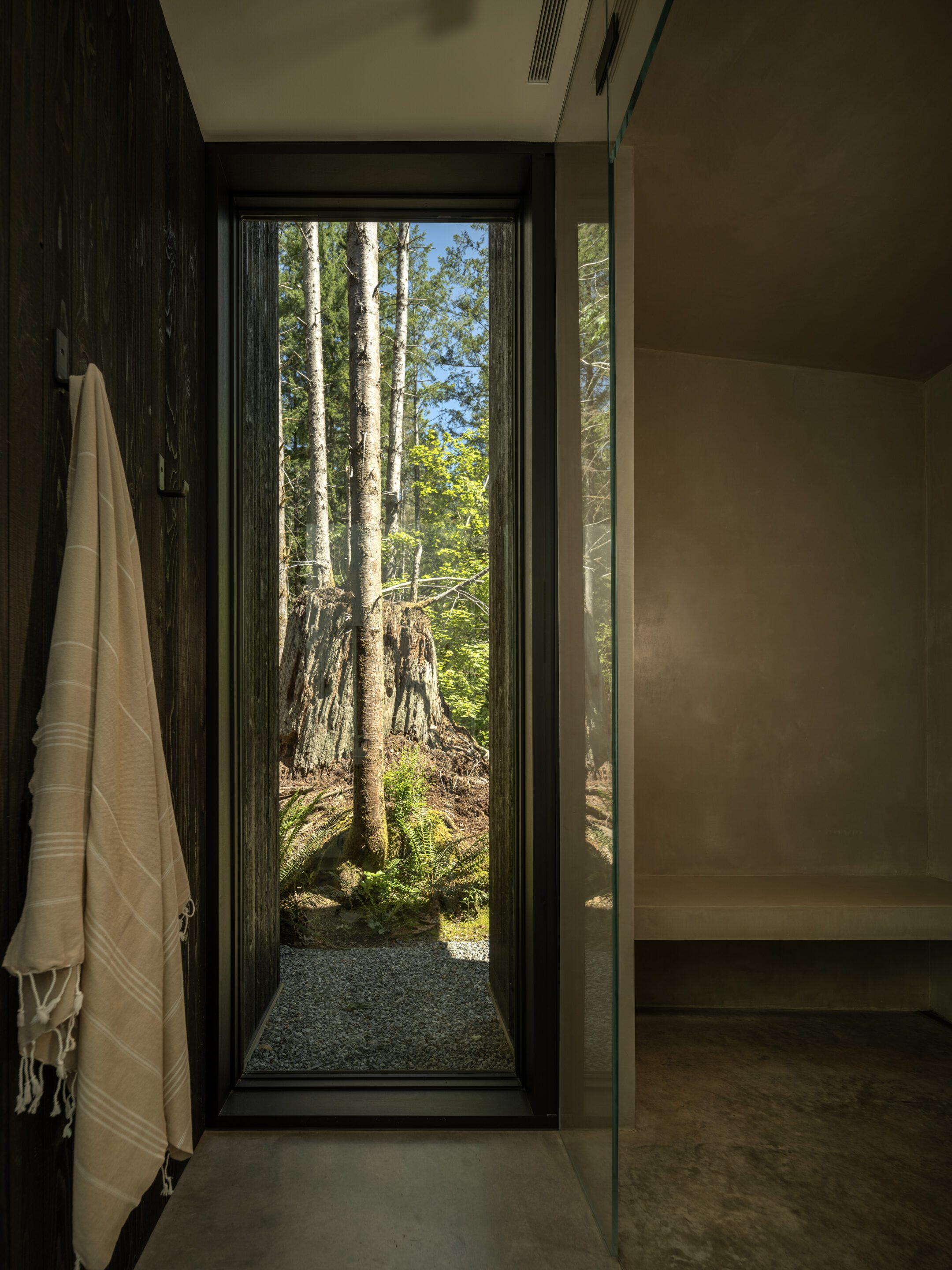 Forest Pavilion Home — Signal Architecture