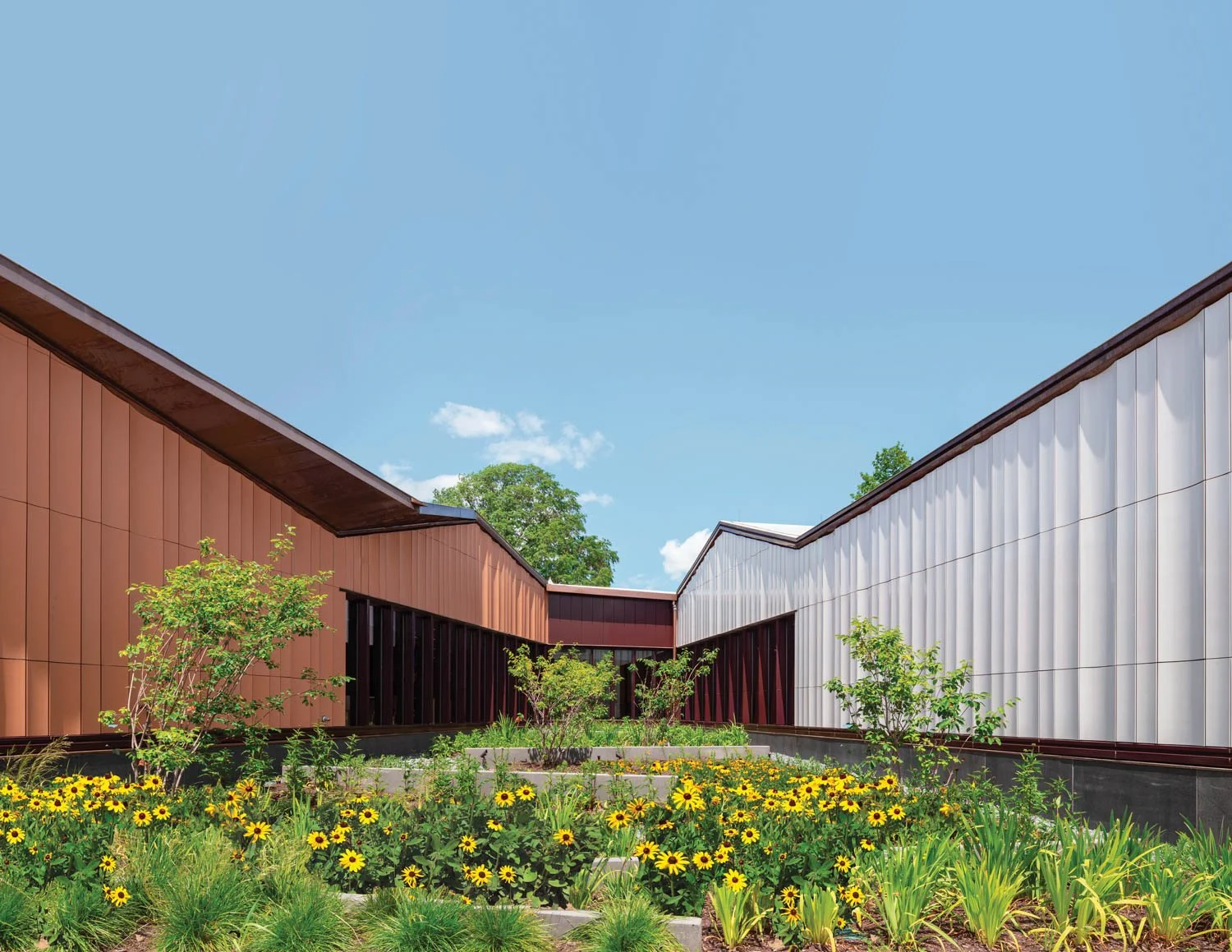 Adams Street Branch Library — Studio NYL