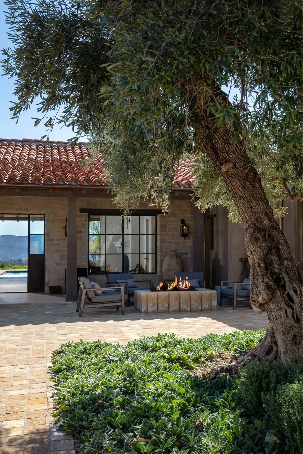 Rancho Los Olivos — Tom Meaney