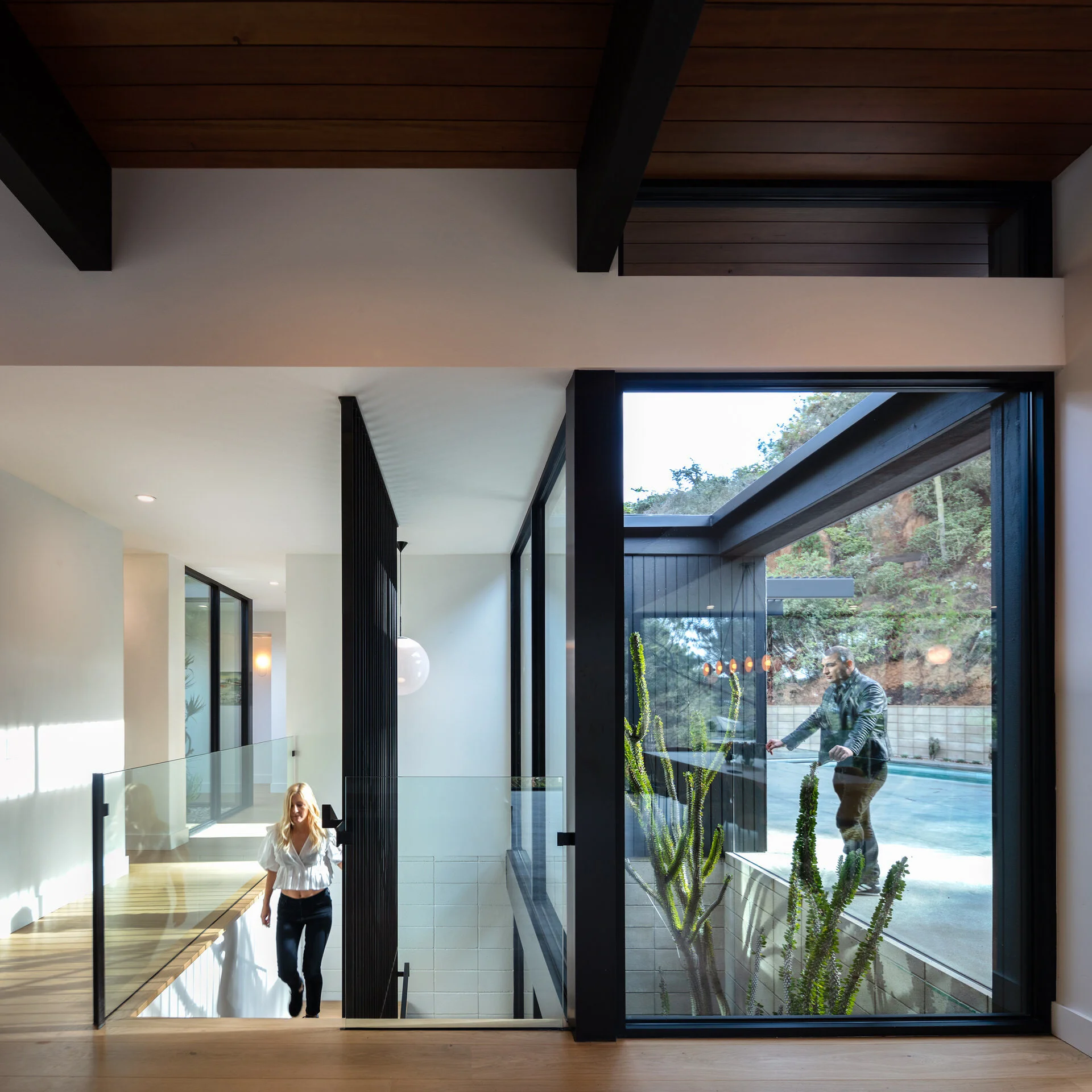 PINE NEEDLES — Nakhshab Development Design