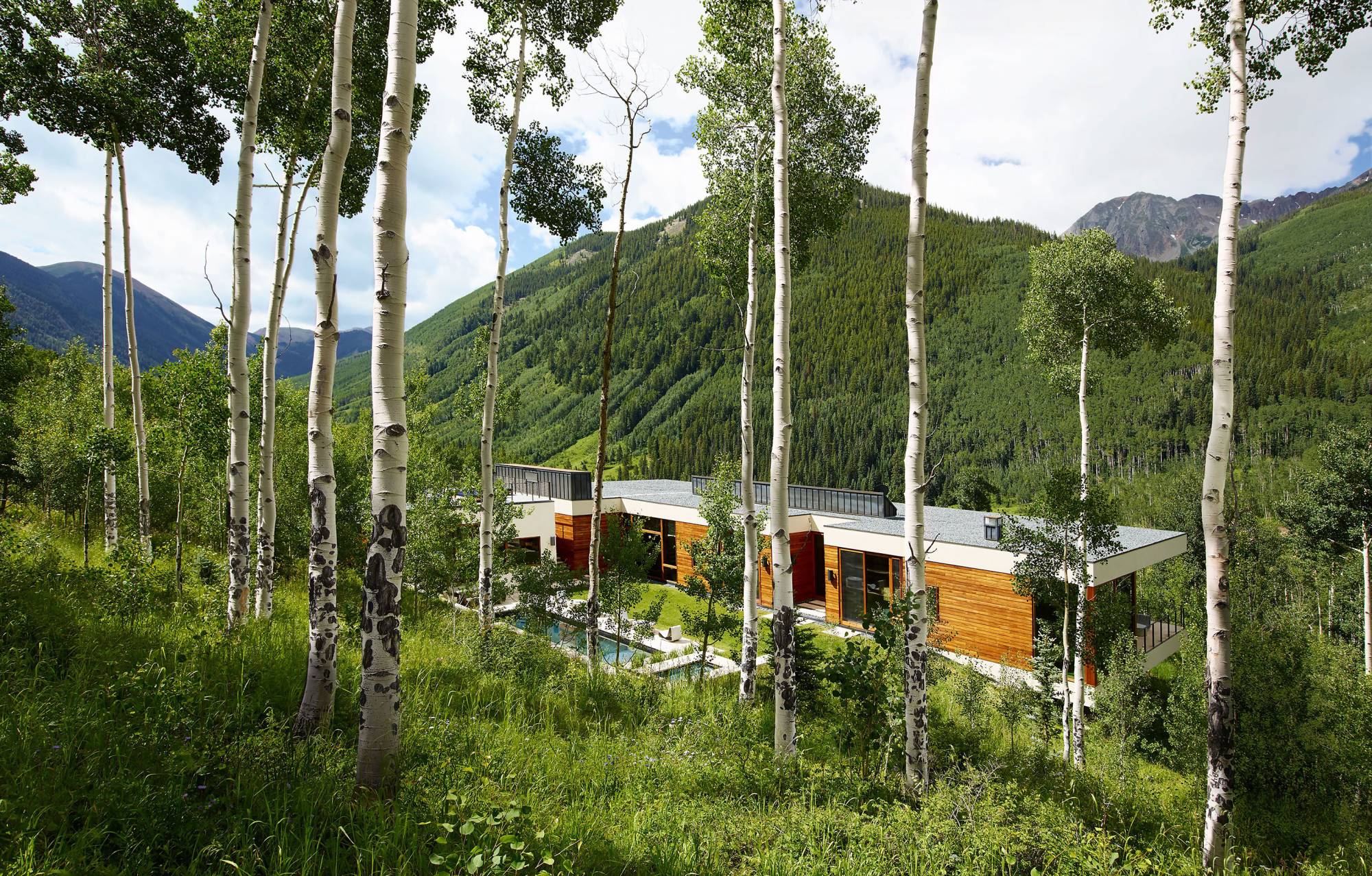 Linear House — Studio B 