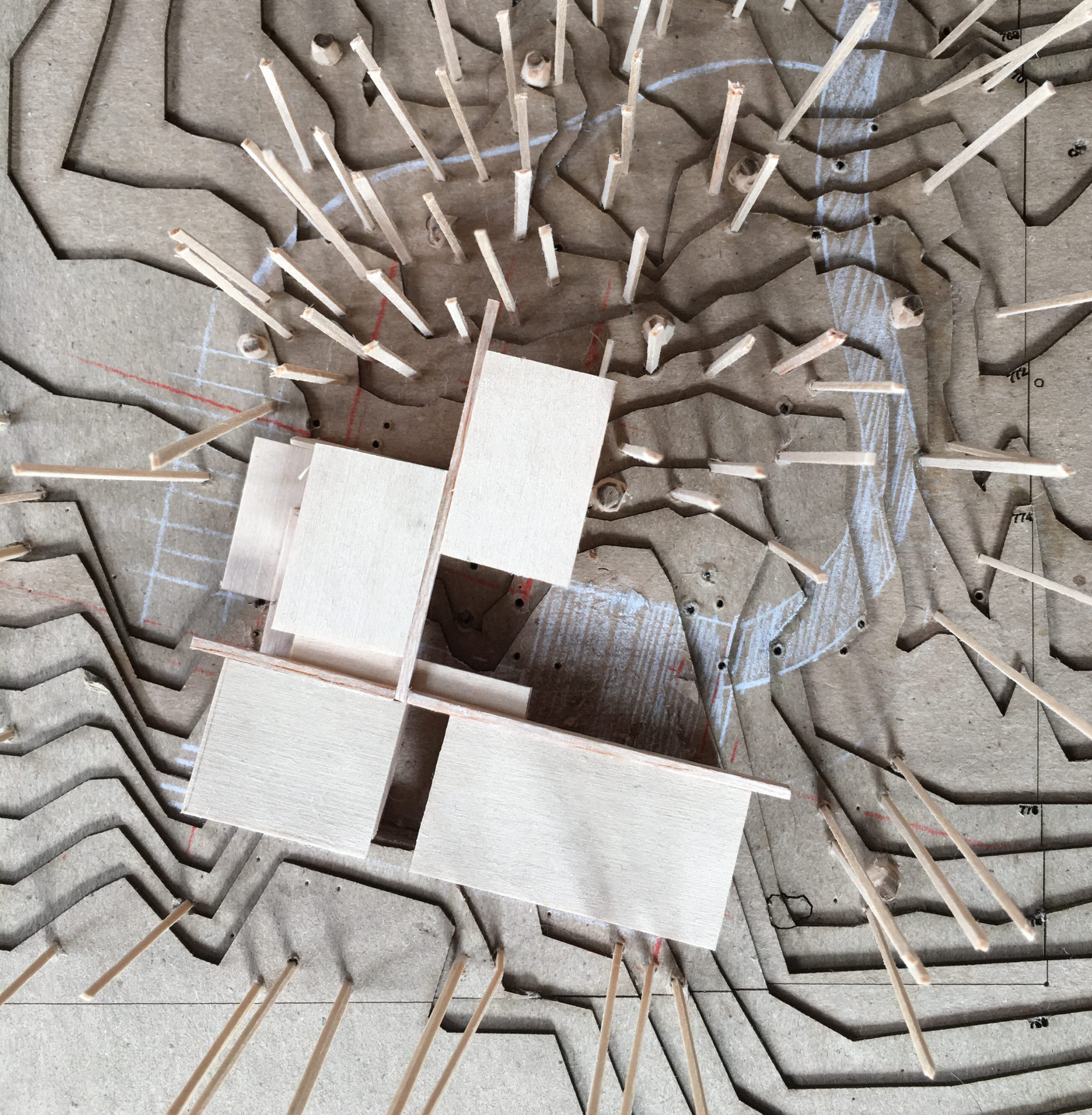 Forest Pavilion Home — Signal Architecture