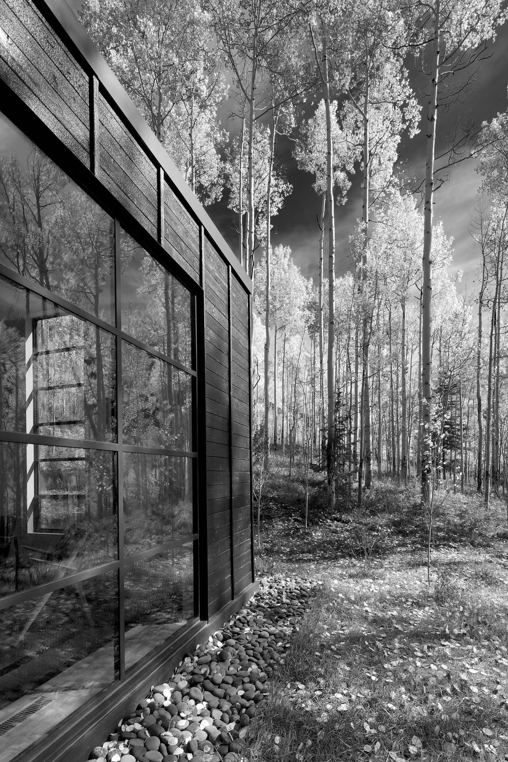 Cottage Black — Studio B 