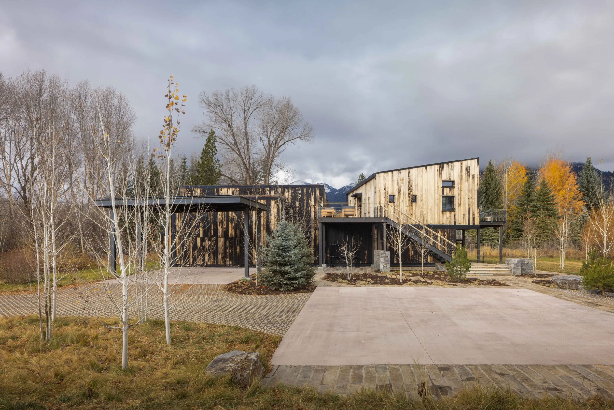 Tree Haus — Love | Schack Architecture