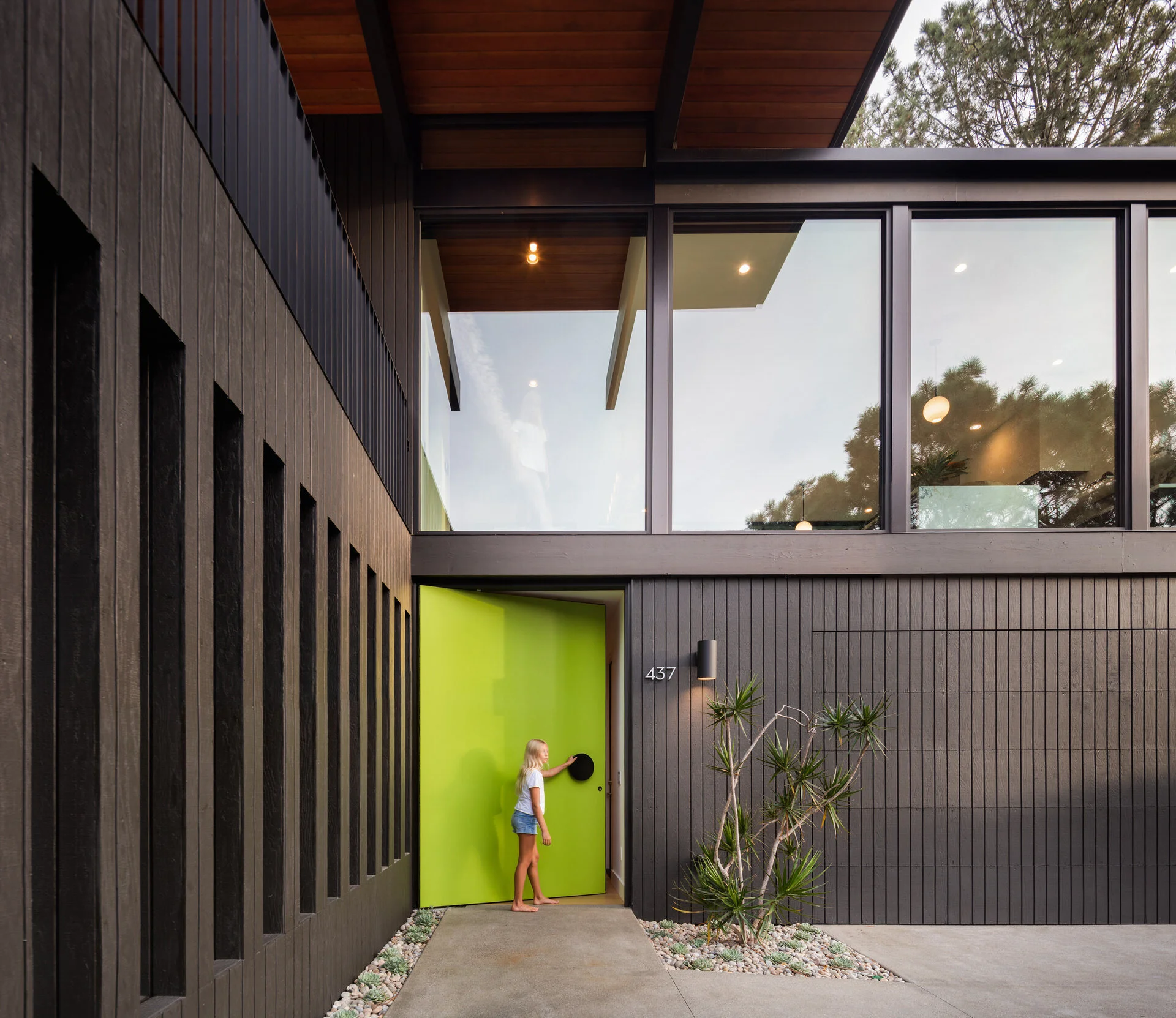 PINE NEEDLES — Nakhshab Development Design