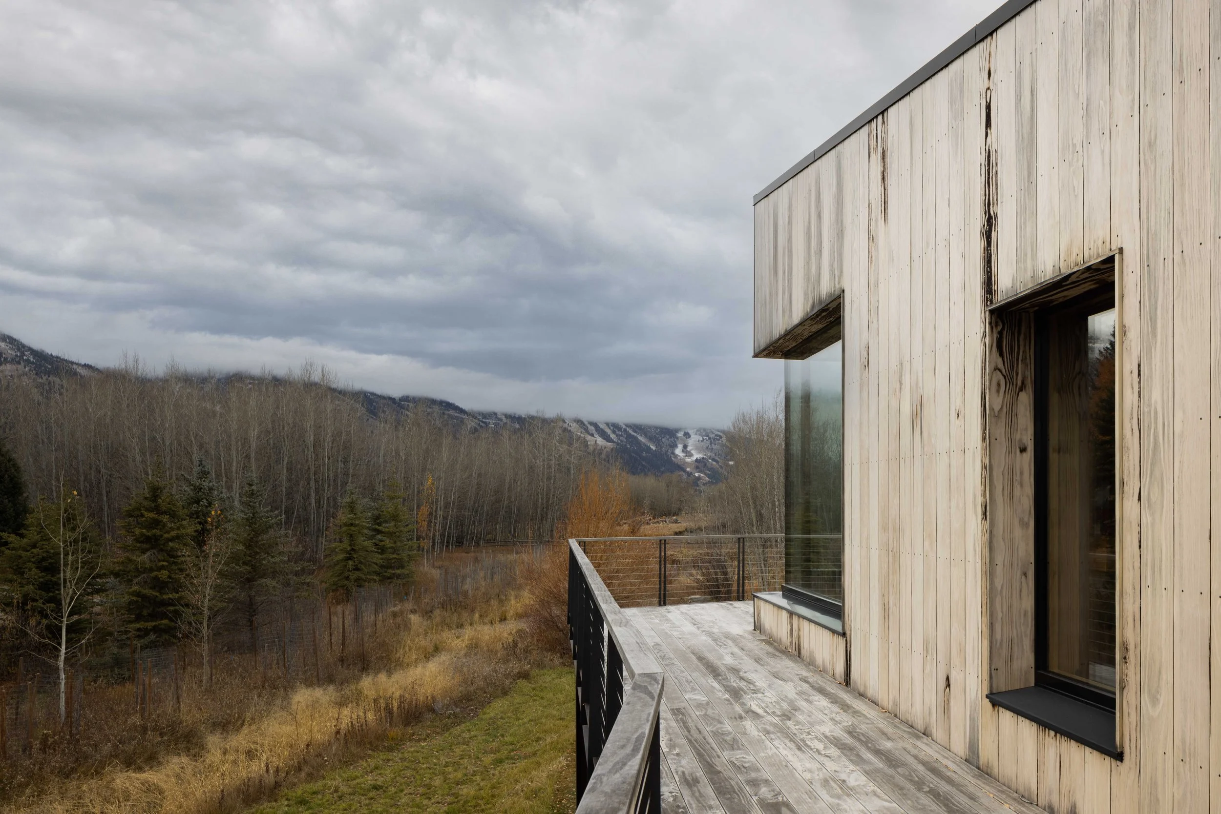 Tree Haus — Love | Schack Architecture
