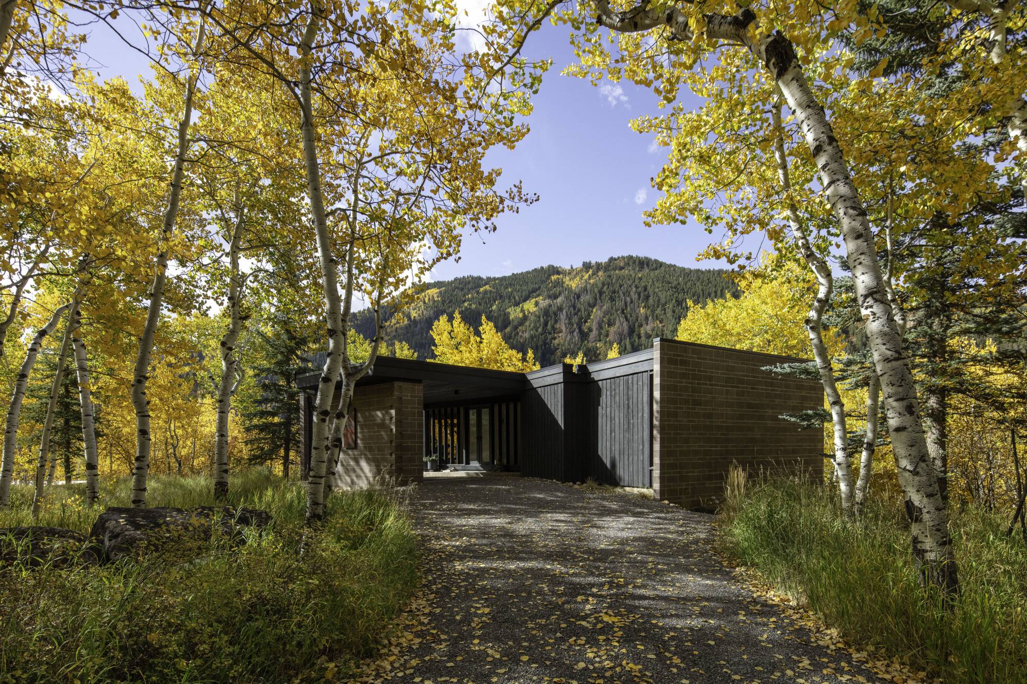The Perch — Studio B 