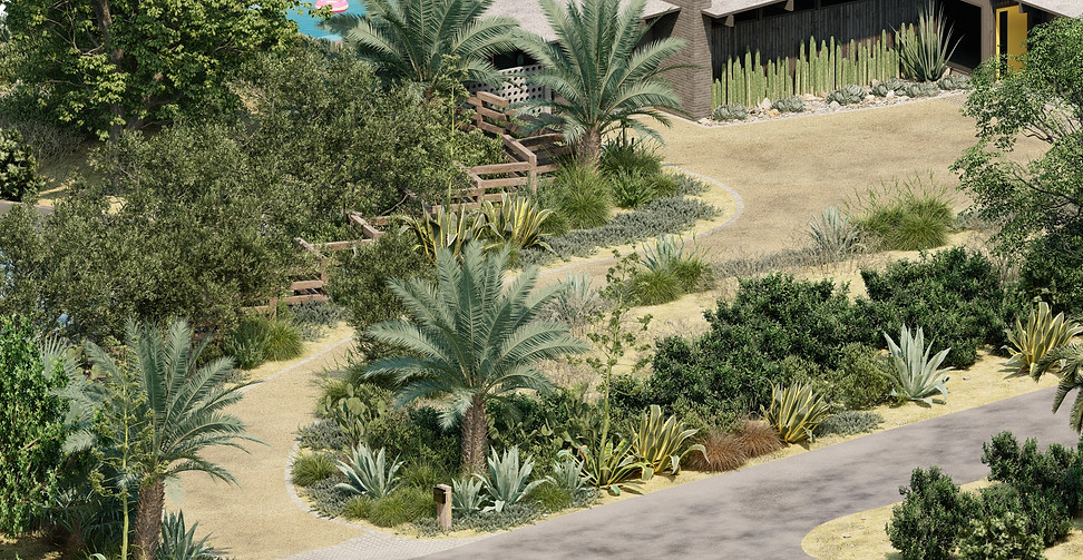 ACACIA — TOPOPHYLA