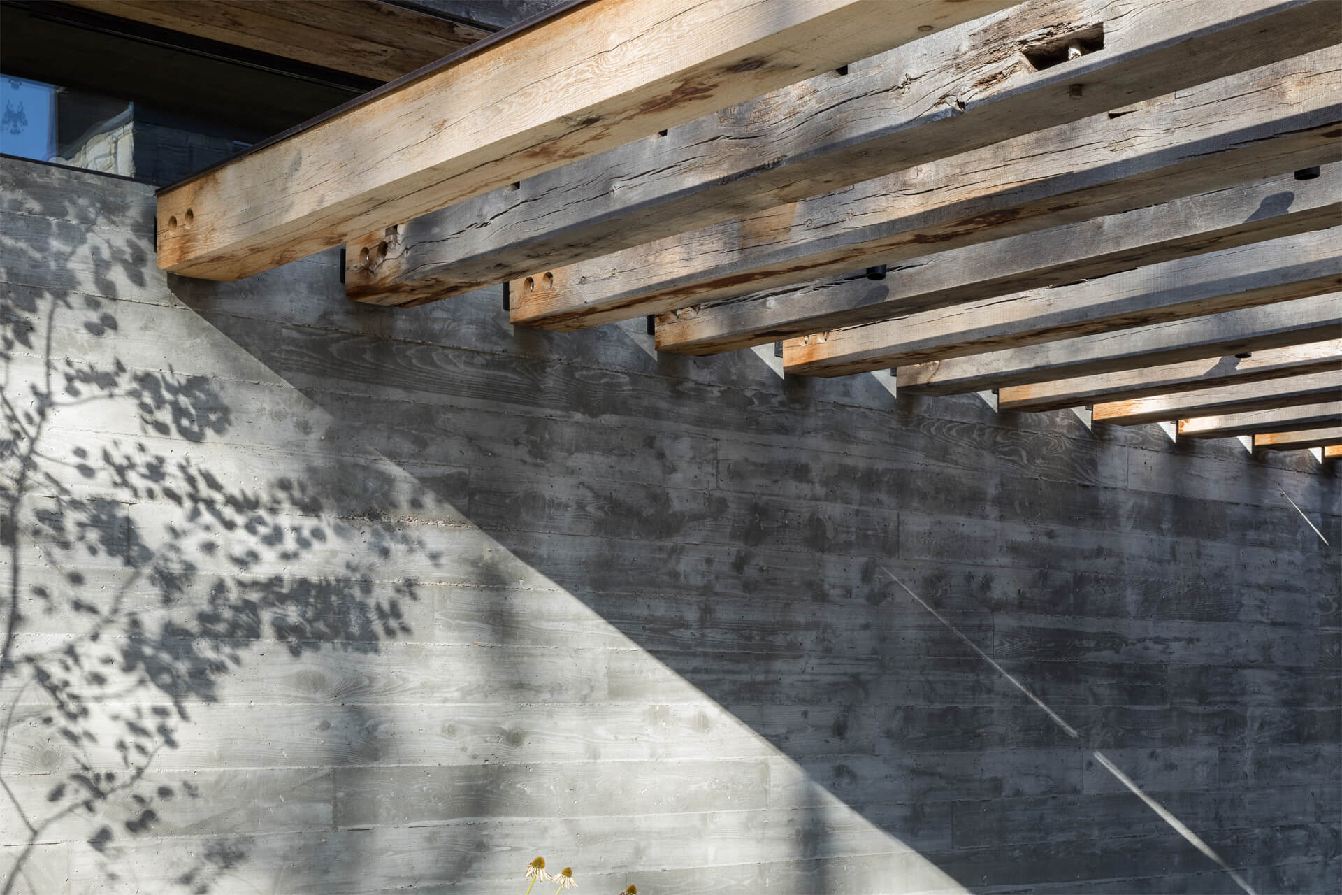 Moosebluff House — Pearson Design Group