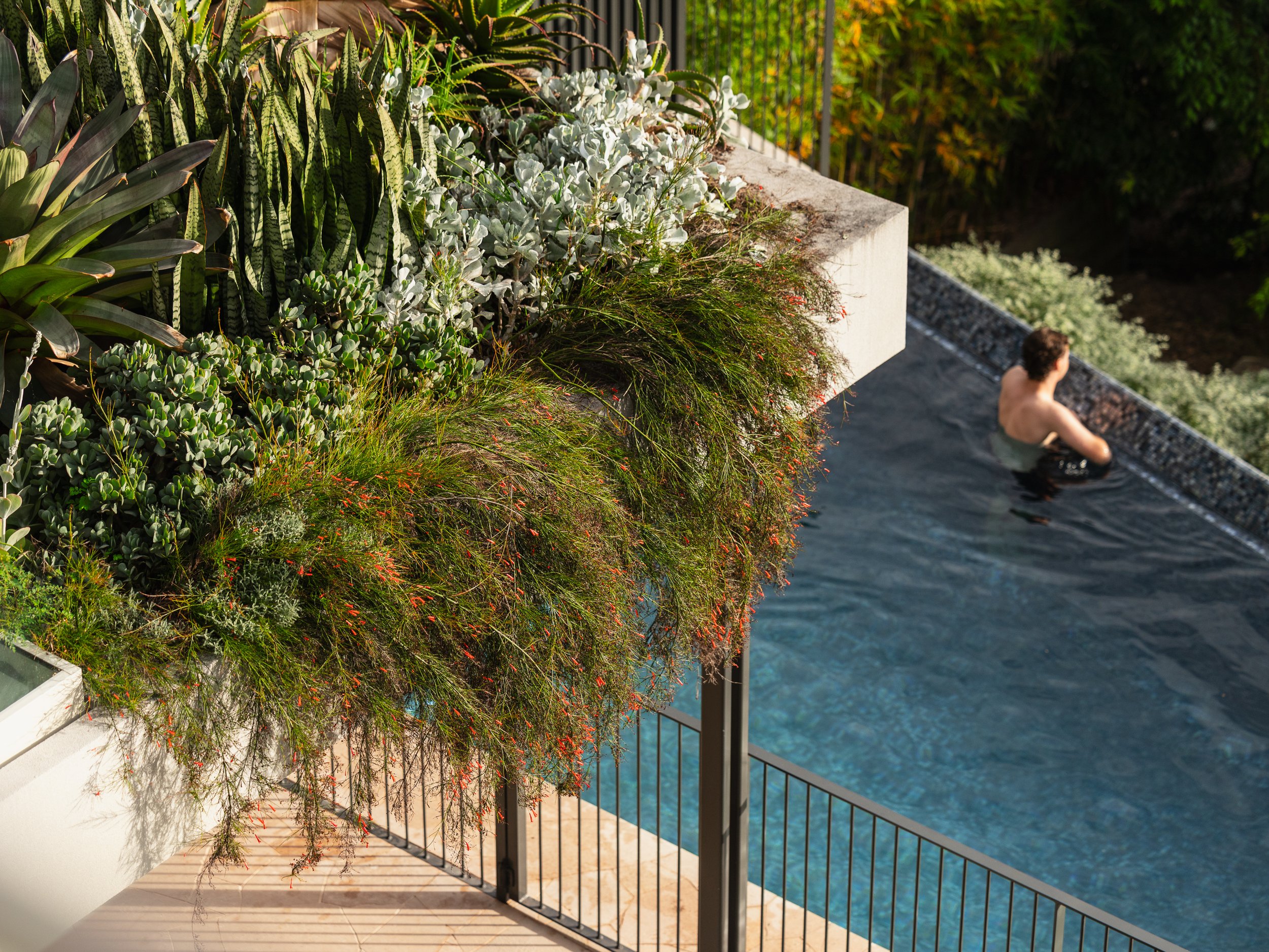 Rockpool — Castlepeake Architects