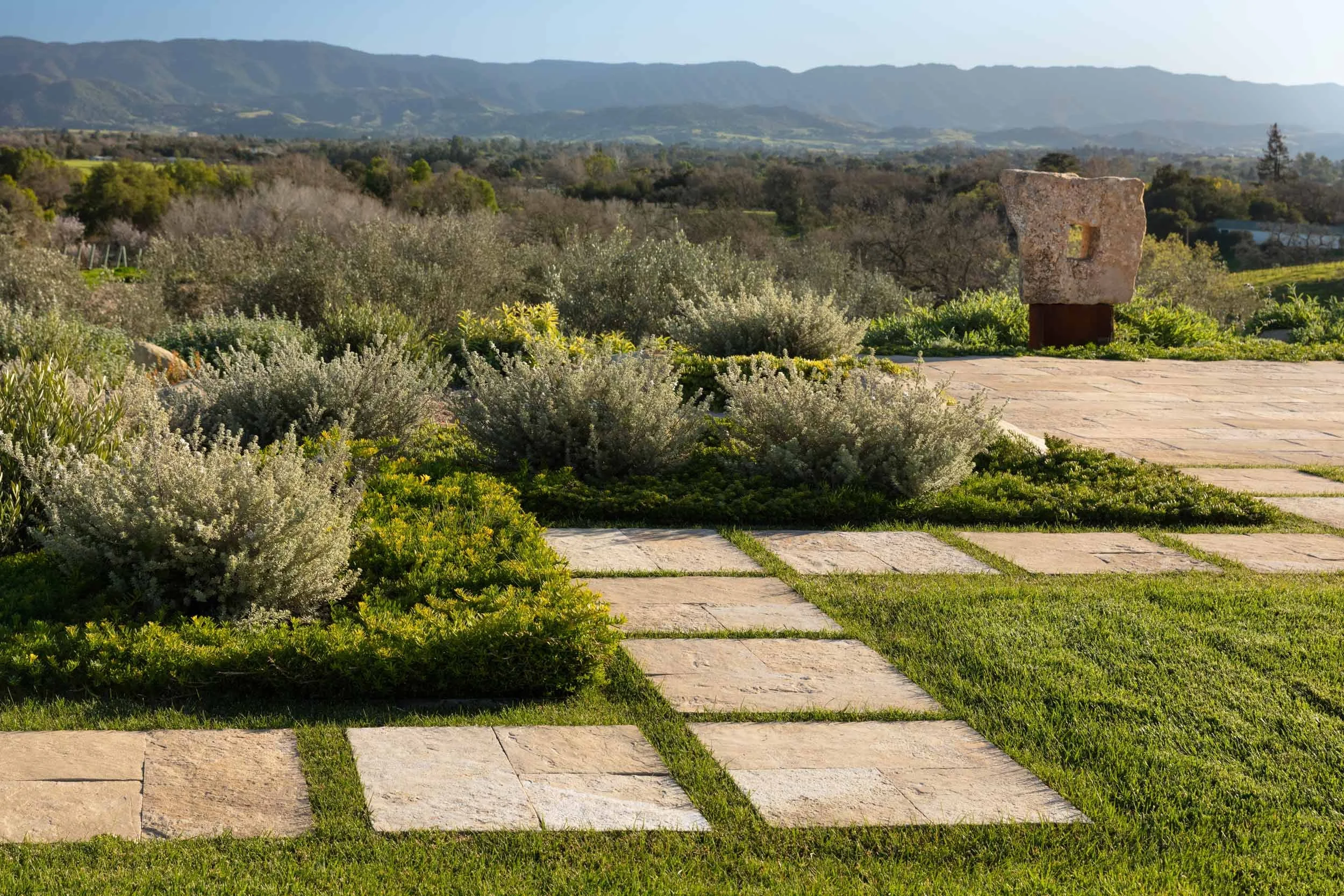 Rancho Los Olivos — Tom Meaney