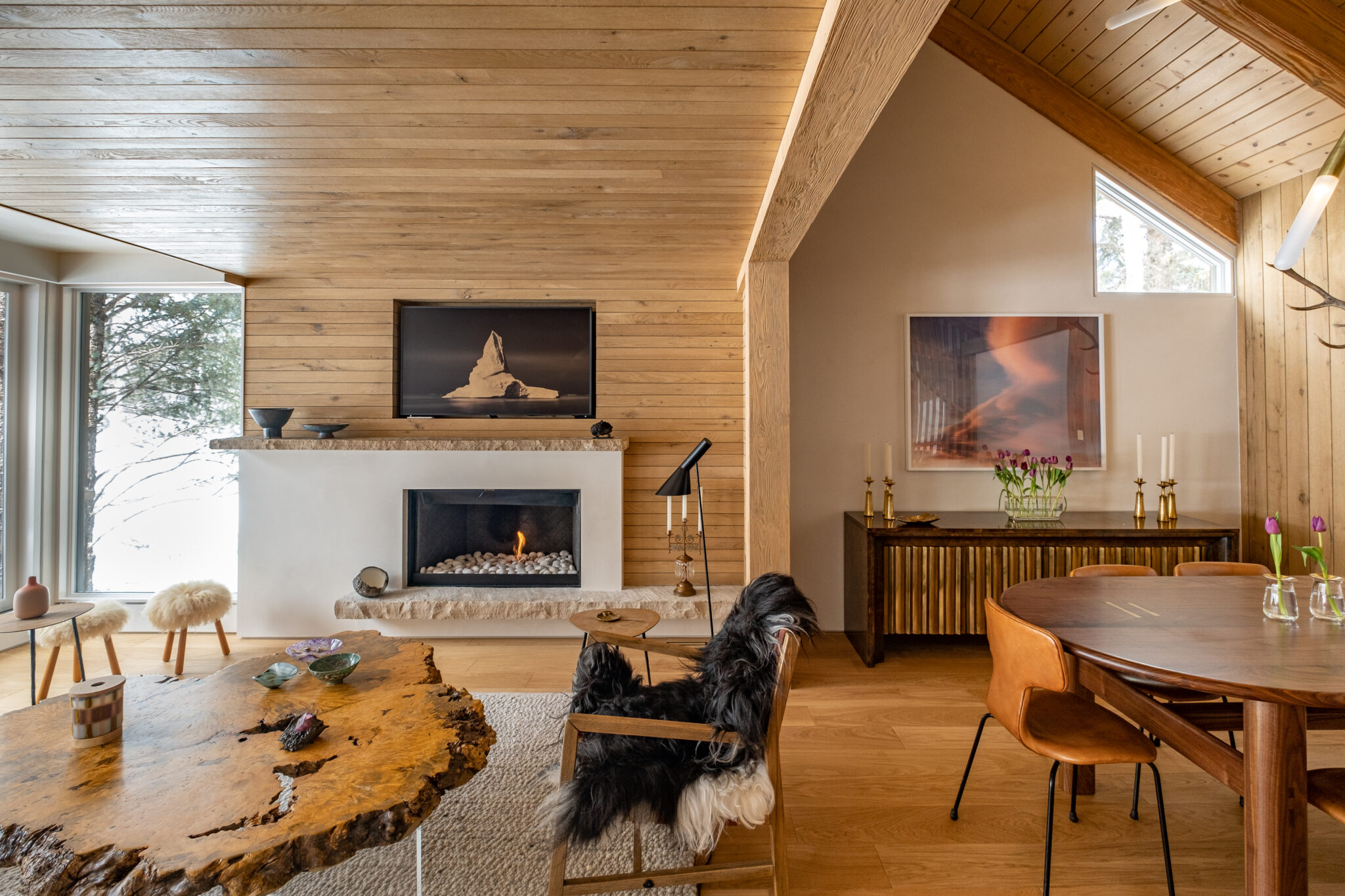 ASPEN CHALET — bldg seed architects