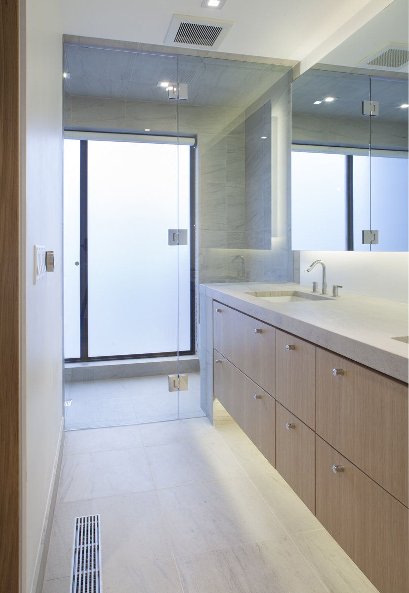 MILLENNIUM PENTHOUSE — bldg seed architects