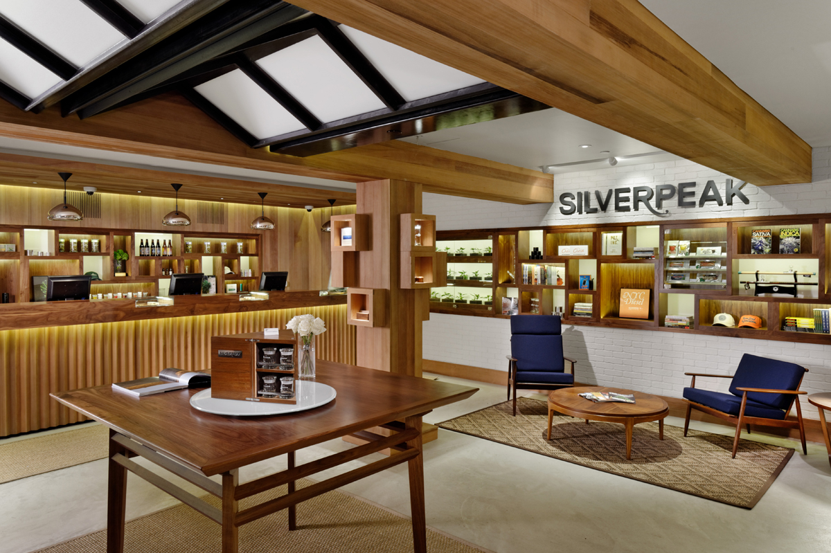SILVERPEAK ASPEN — bldg seed architects