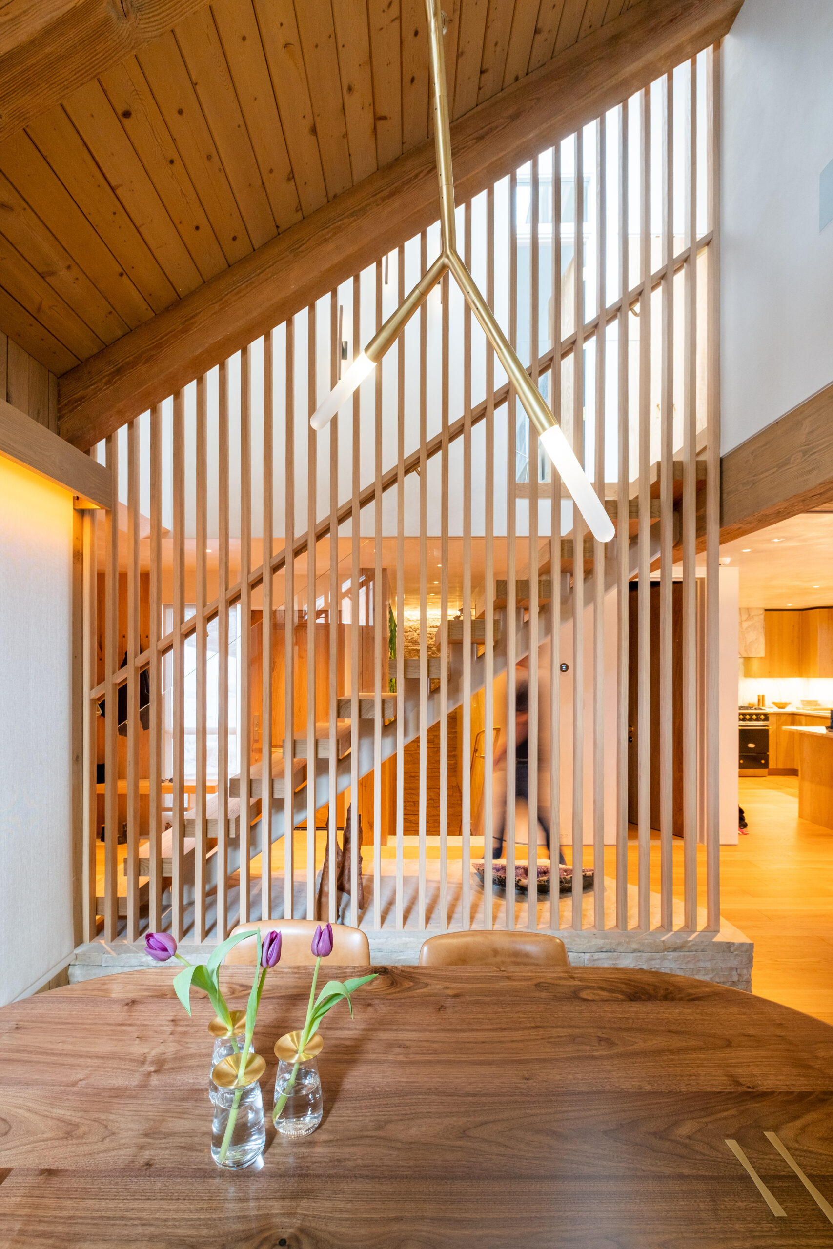 ASPEN CHALET — bldg seed architects