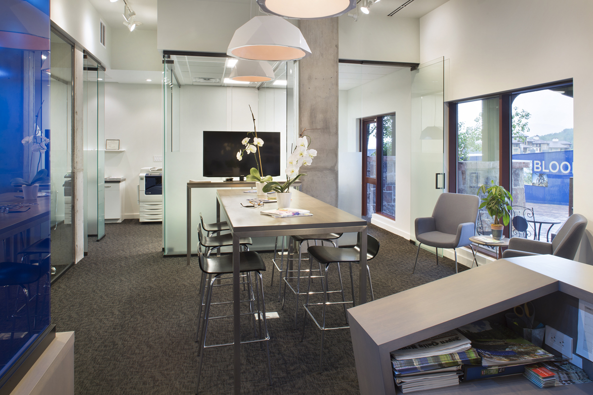 MASON MORSE SNOWMASS — bldg seed architects