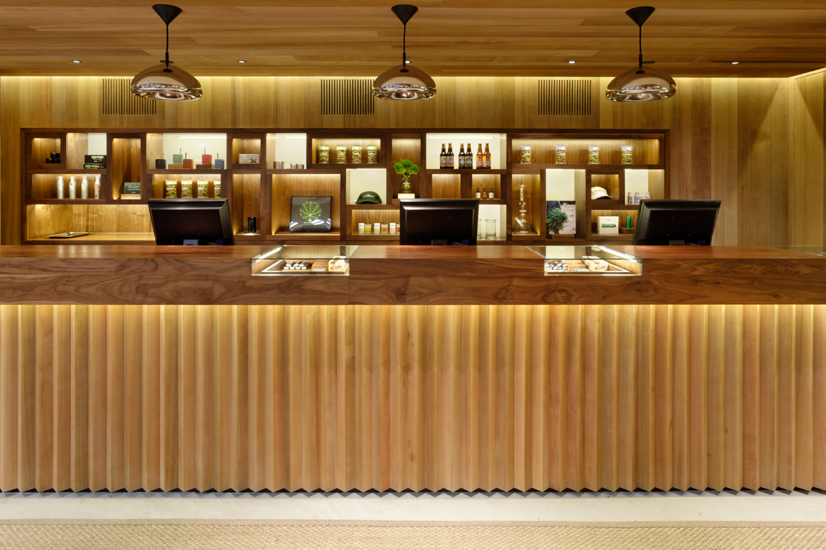 SILVERPEAK ASPEN — bldg seed architects