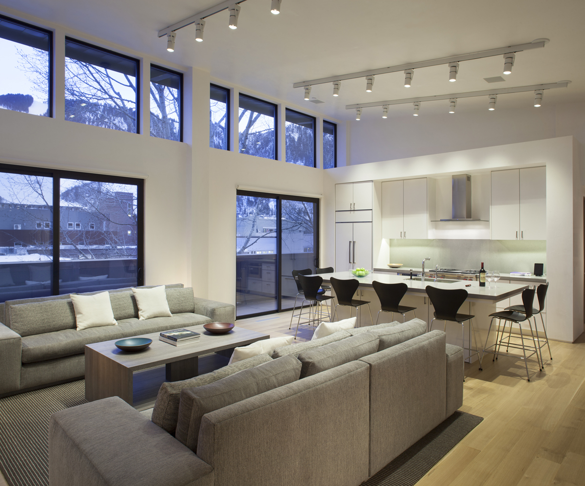 MILLENNIUM PENTHOUSE — bldg seed architects