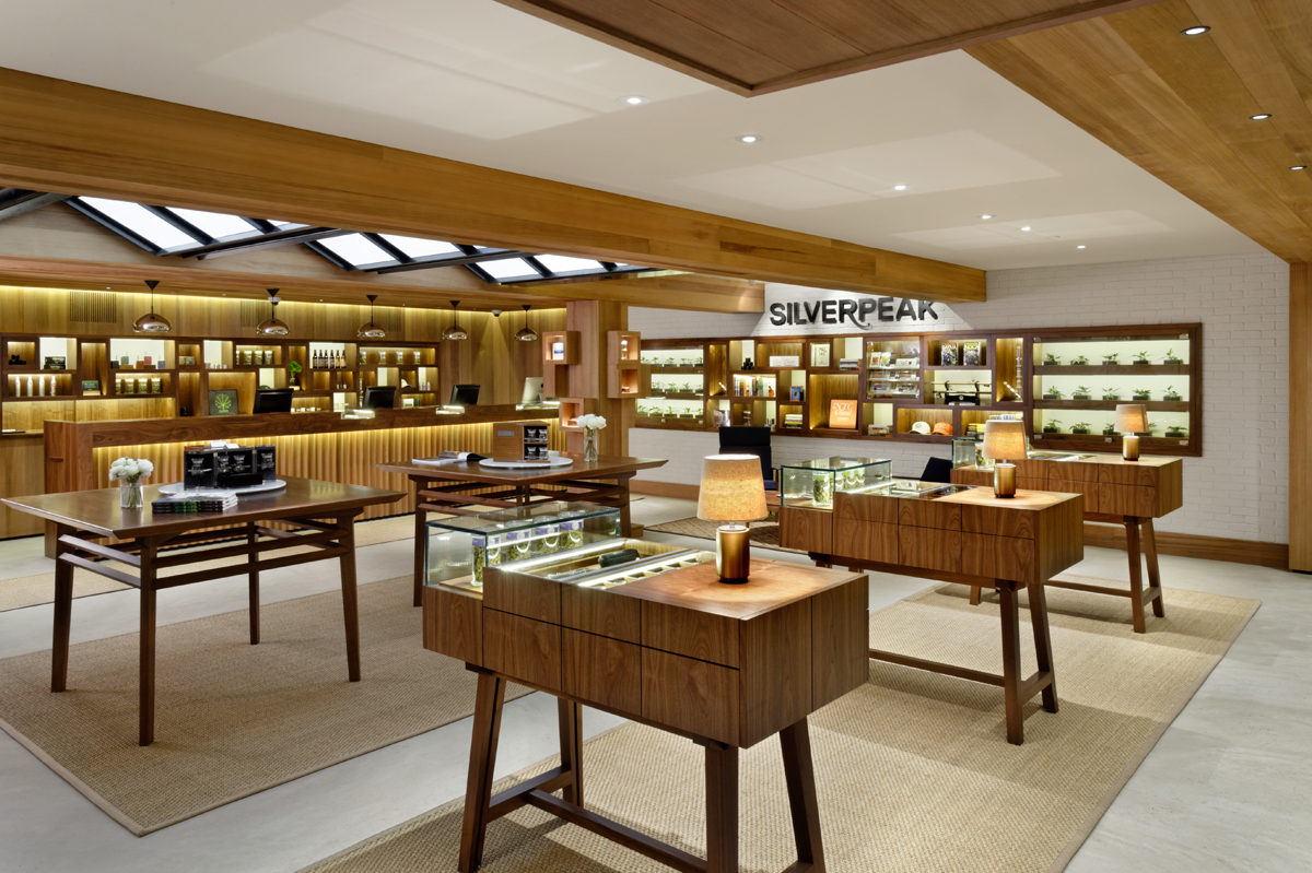 SILVERPEAK ASPEN — bldg seed architects