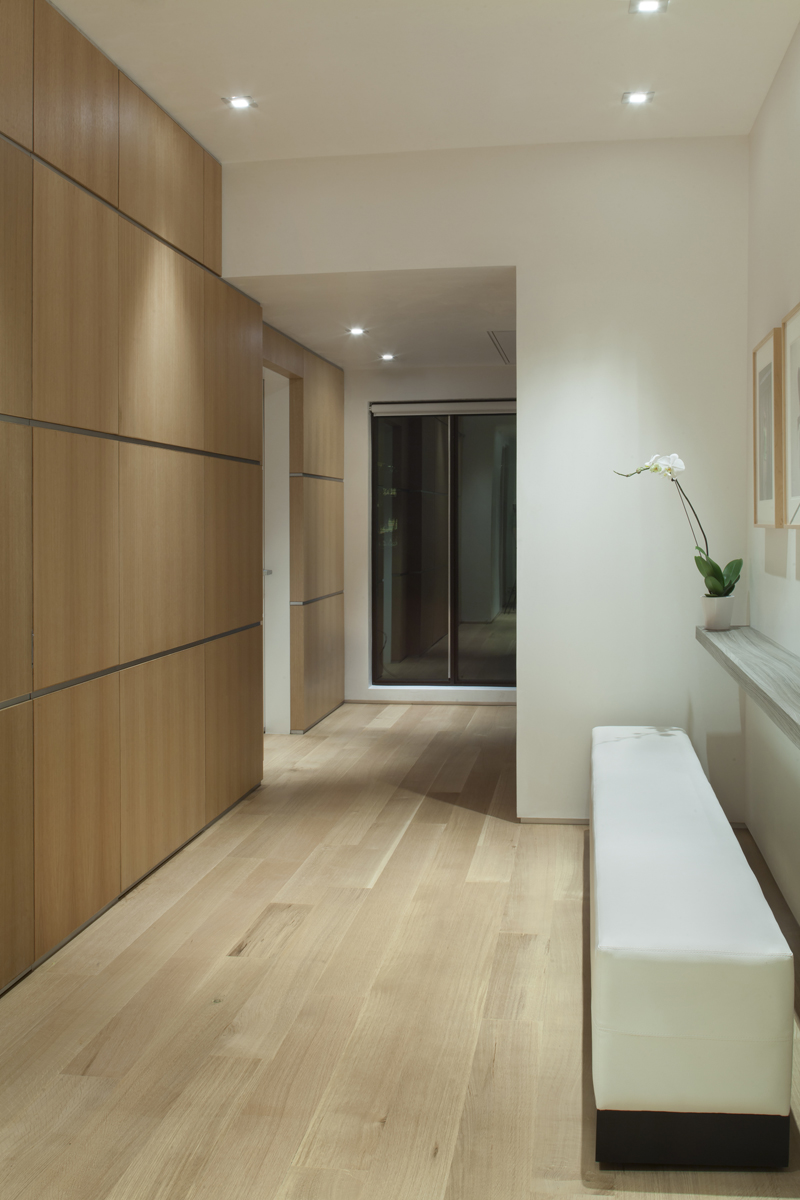 MILLENNIUM PENTHOUSE — bldg seed architects