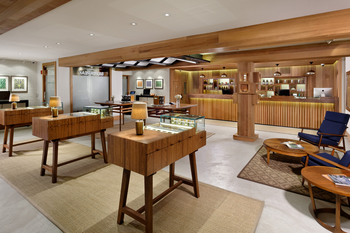 SILVERPEAK ASPEN — bldg seed architects