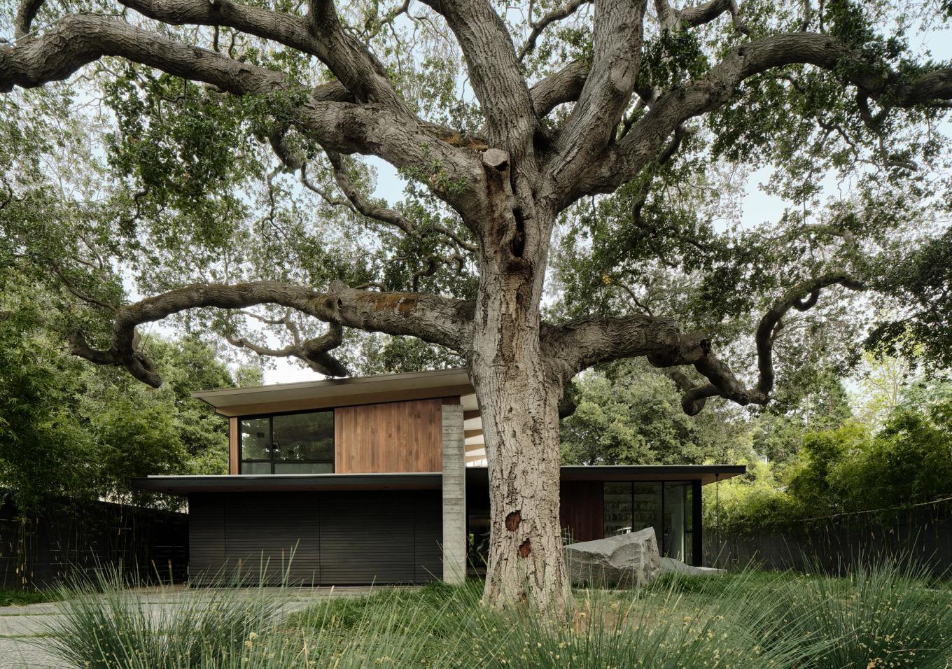 led. Intentionally detailed. Ready to build. — Feldman Architecture