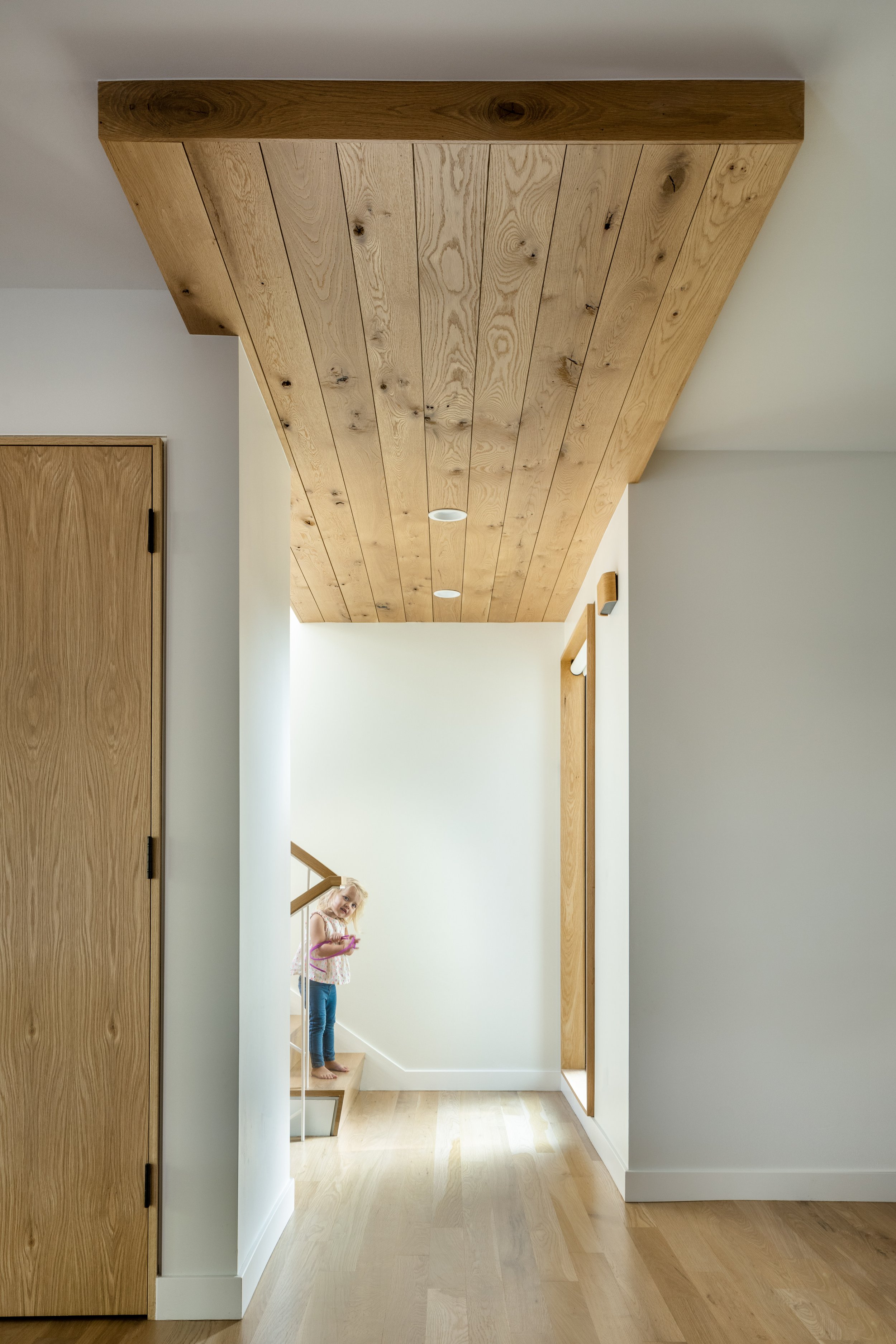 Rabbit House — Roth Sheppard Architects