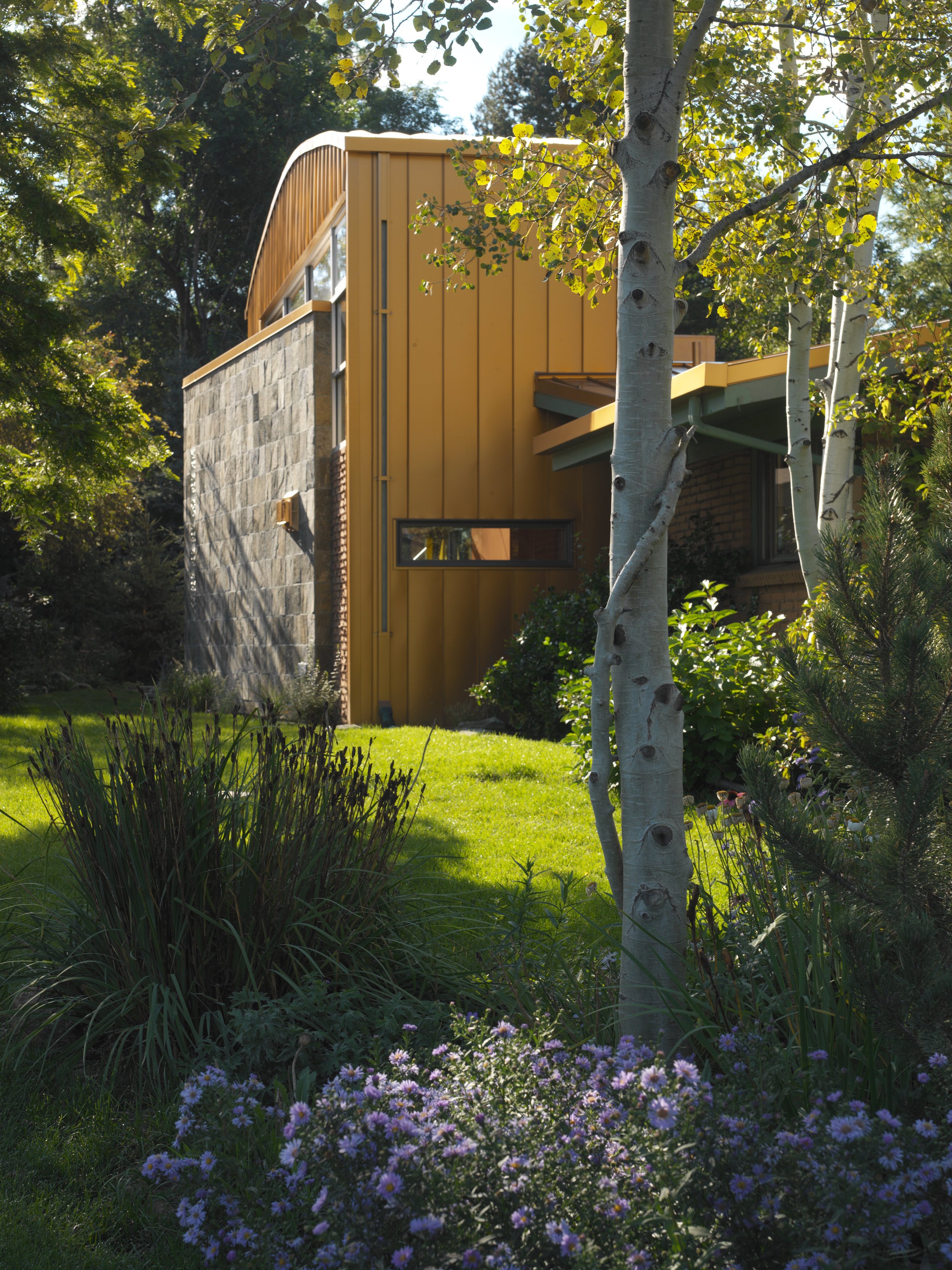 Roth Sheppard Architects