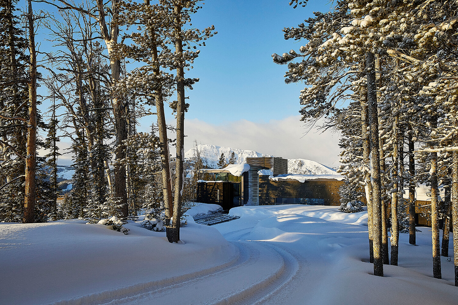 Pearson Design Group MTNmin House — Pearson Design Group