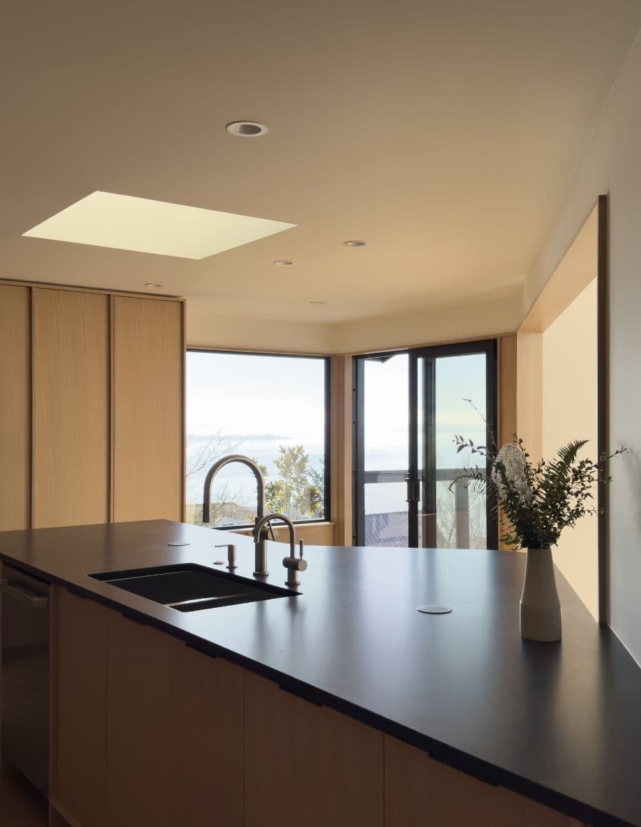 Queen Anne Remo — SHED Architecture & Design