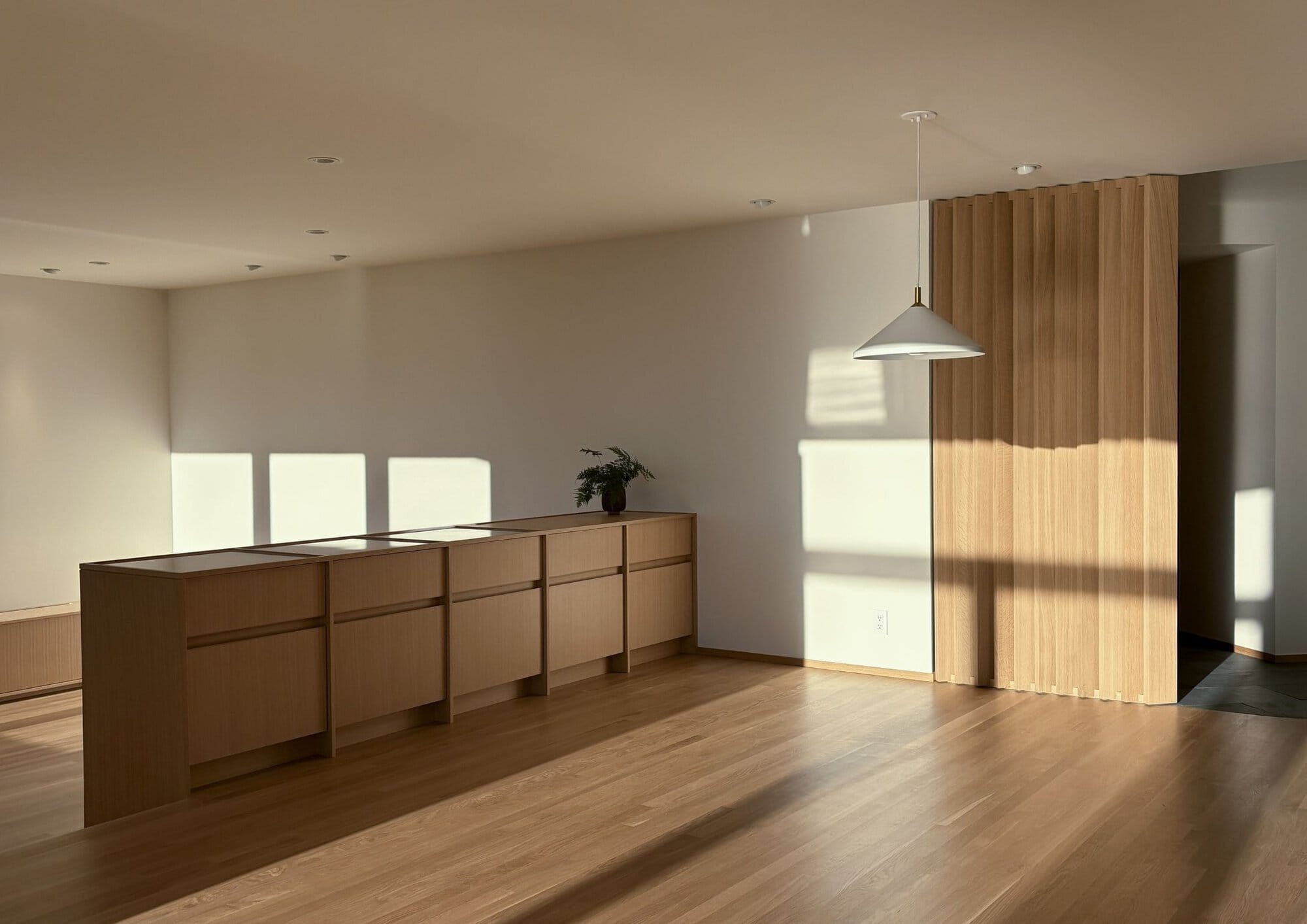 Queen Anne Remo — SHED Architecture & Design